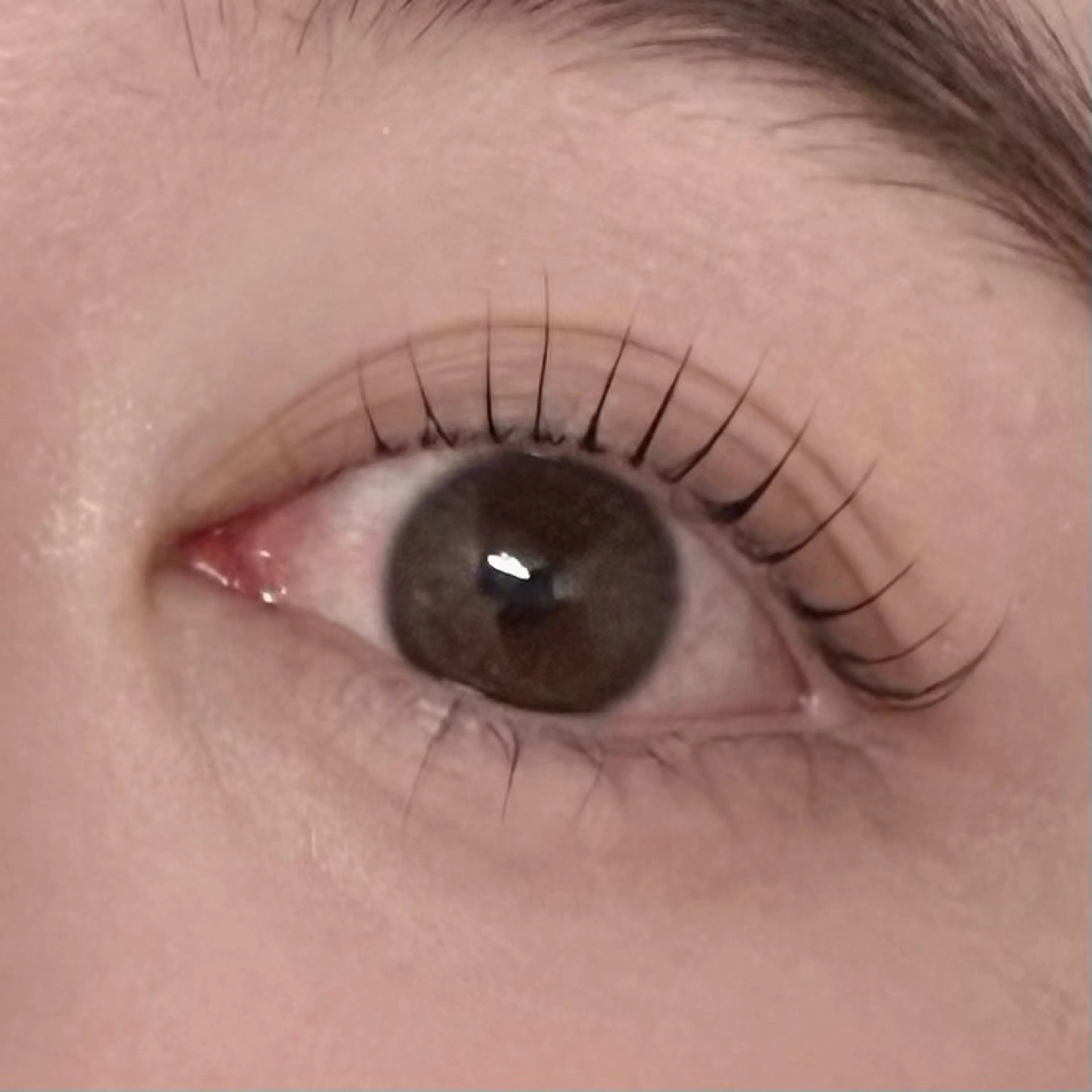 マツエク・マツパ 束感まつ毛 nico eye MAIのマツエク・マツパデザイン