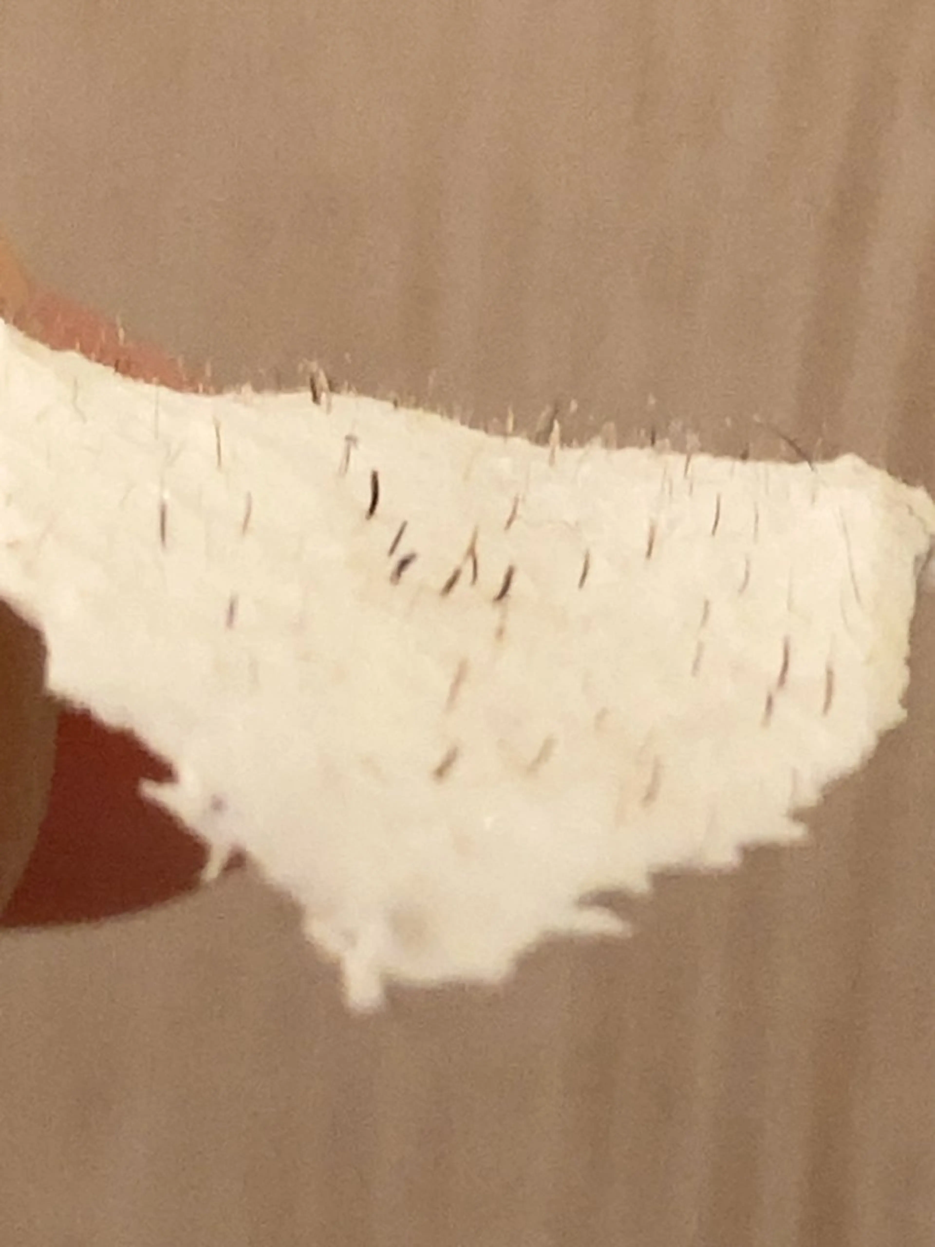 脱毛 産毛専門店 Bittoのエステ・リラクイメージ