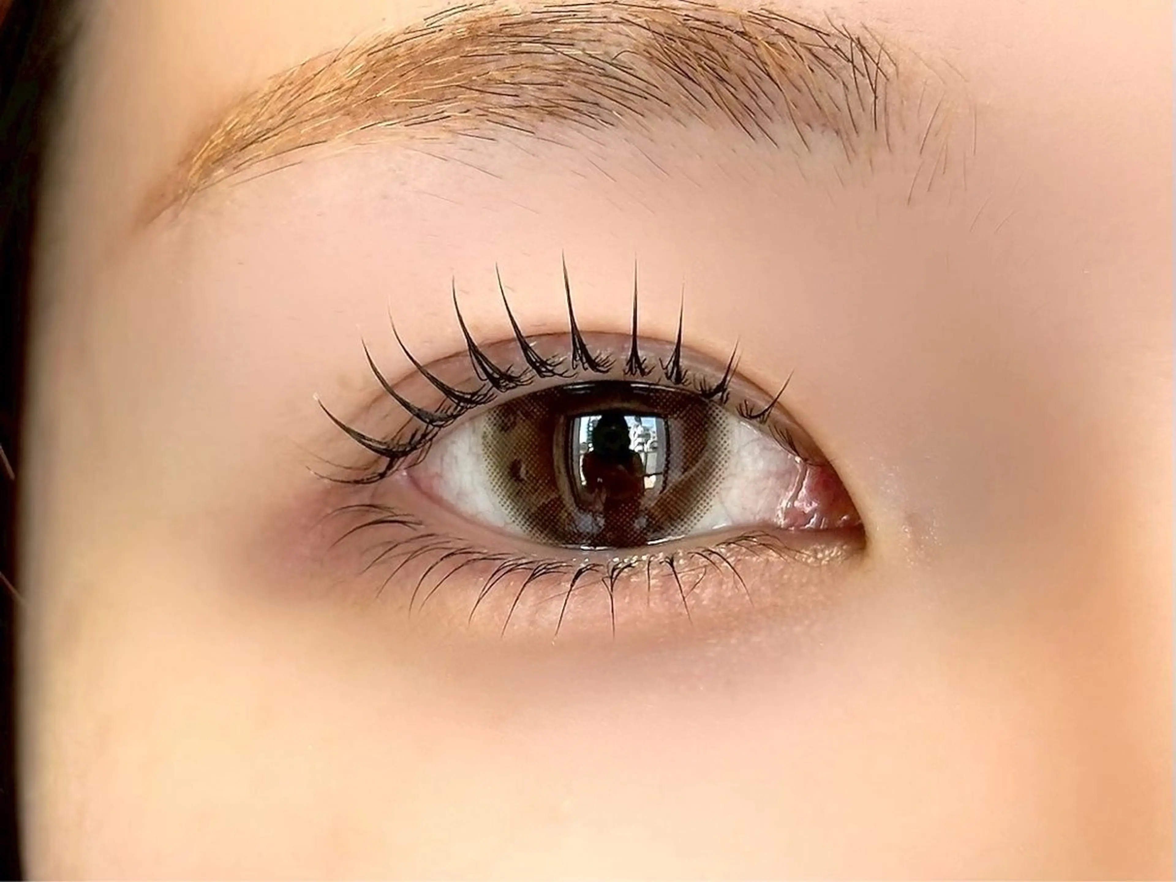 【minimo限定🍒】上下まつげパーマ　通常¥9,000→ミニモ限定ご新規様¥8,000の写真