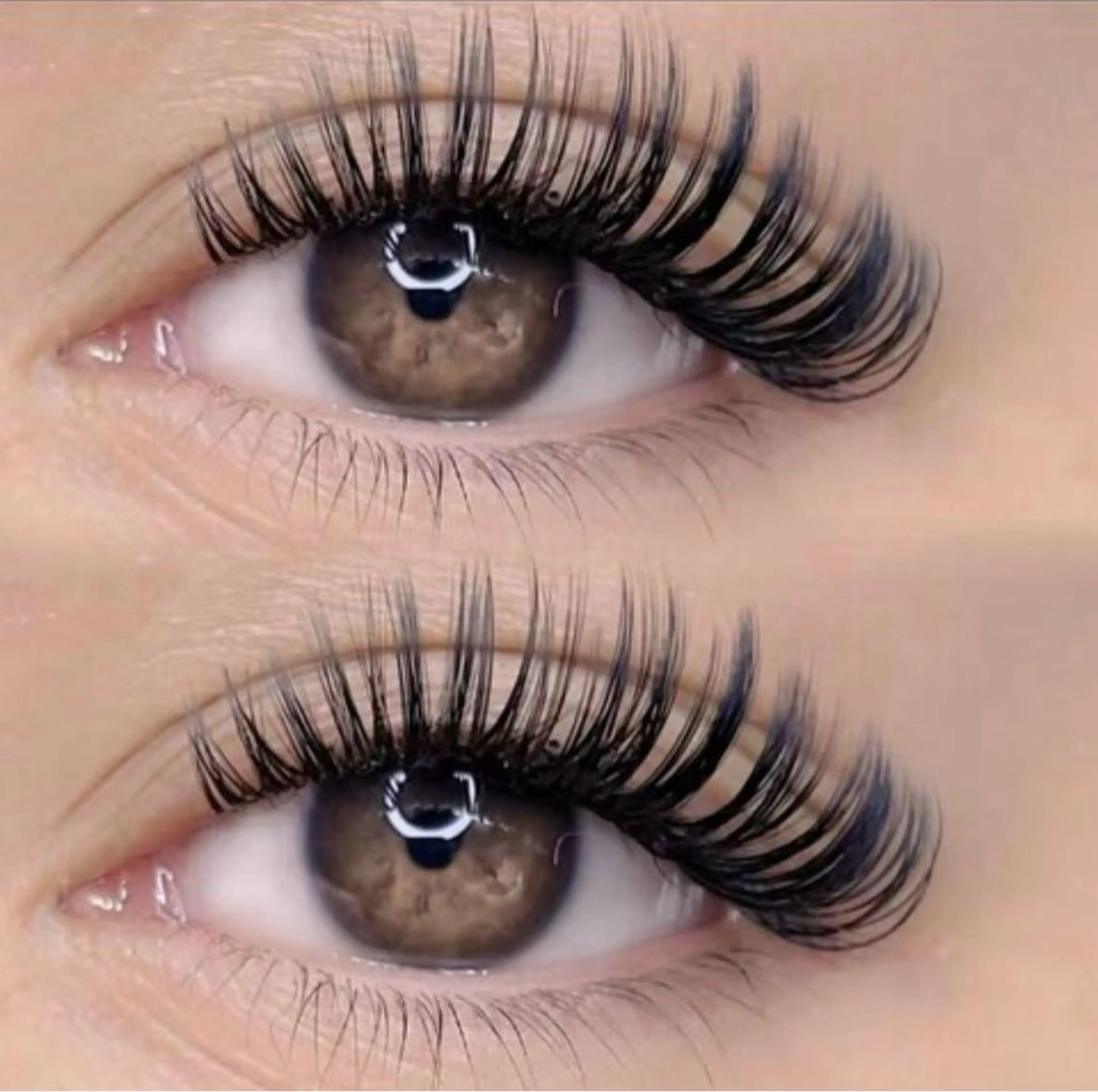 (マツエク)(LED限定無料)バインドロック100束　コーティング付きの写真