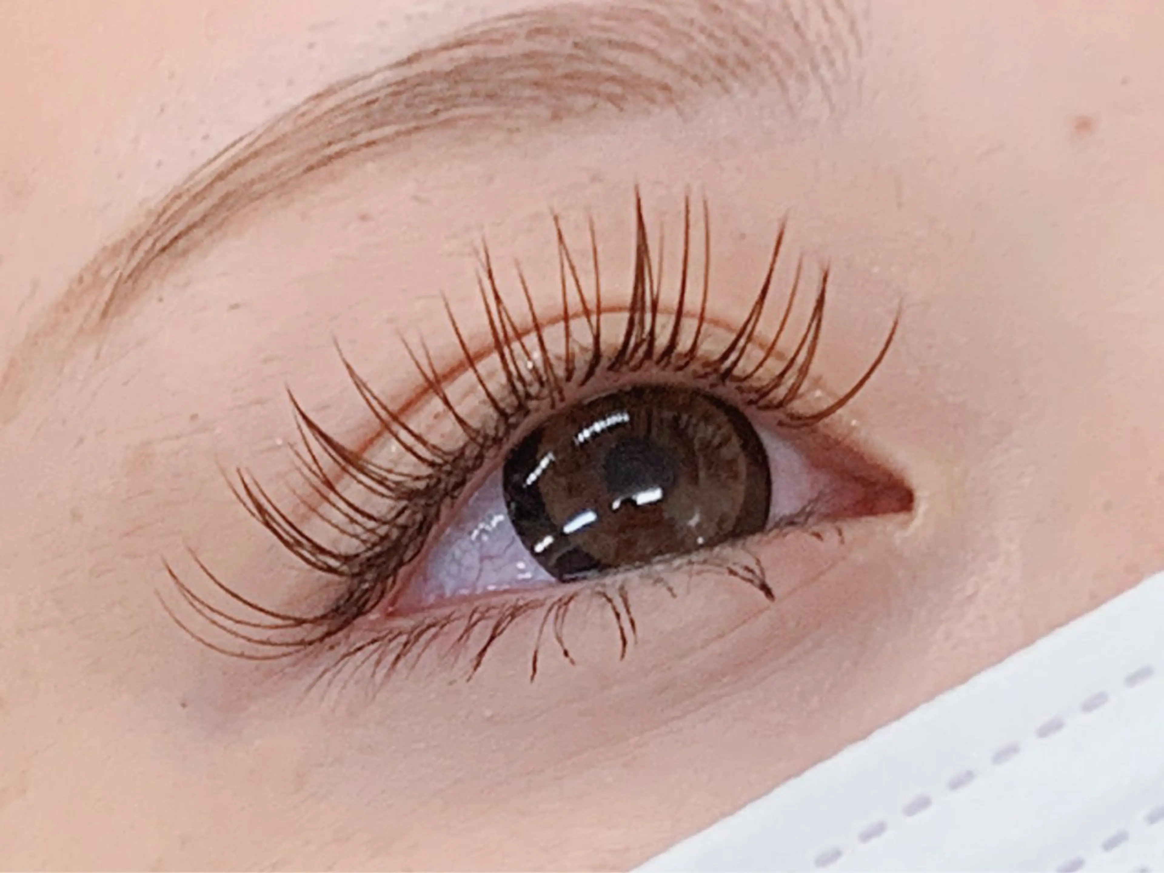 マツエク・マツパ カラーマツエク Lil by Fan. 菊池のマツエク・マツパデザイン