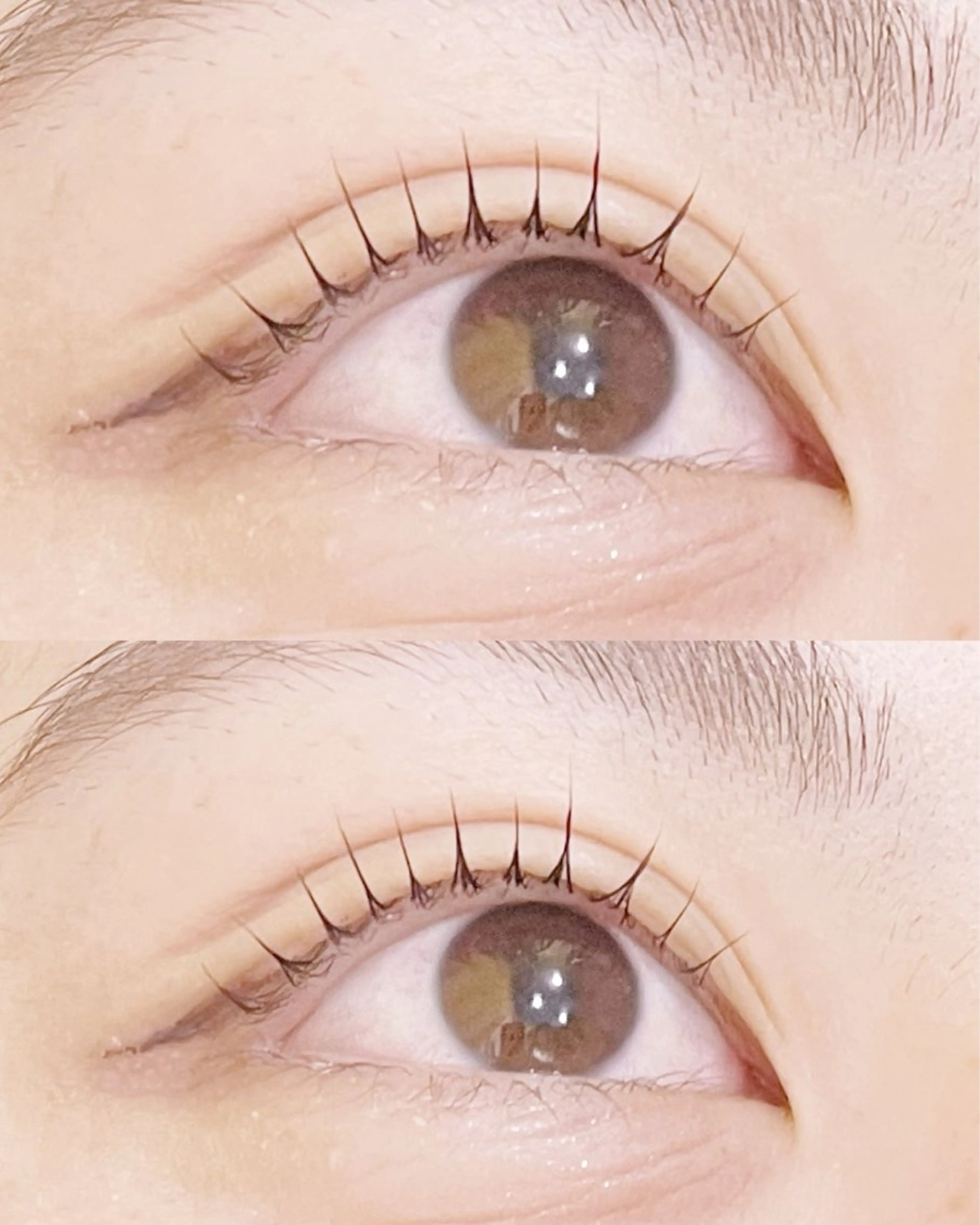 【人気No.1】✨まつげパーマ+ブラックティント✨🍒ྀིコーティング仕上げ付き🍒ྀིの写真