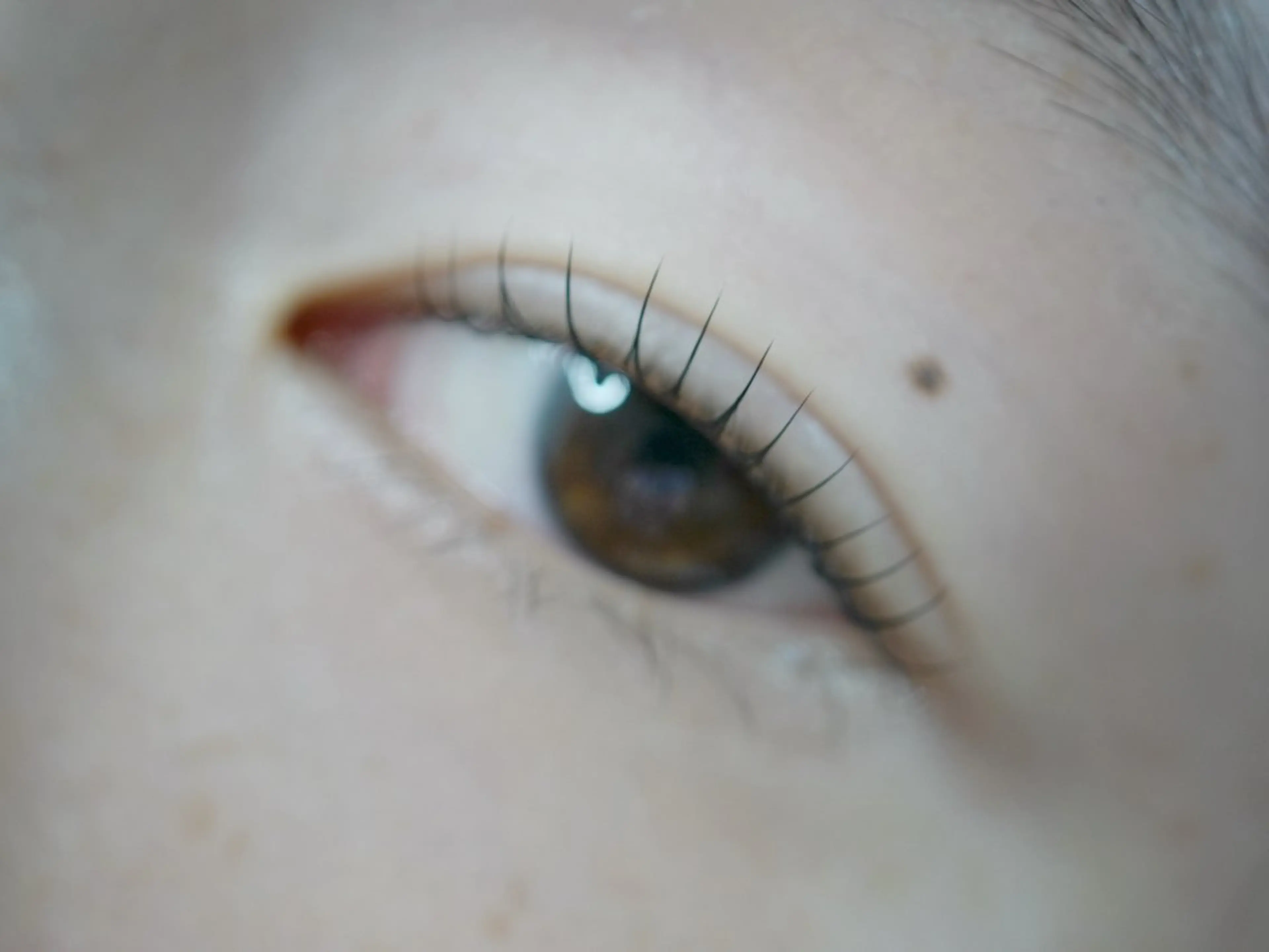 マツエク・マツパ 一重×まつ毛パーマ 骨格美眉ブロウリスト SHOKOの眉毛・アイブロウイメージ