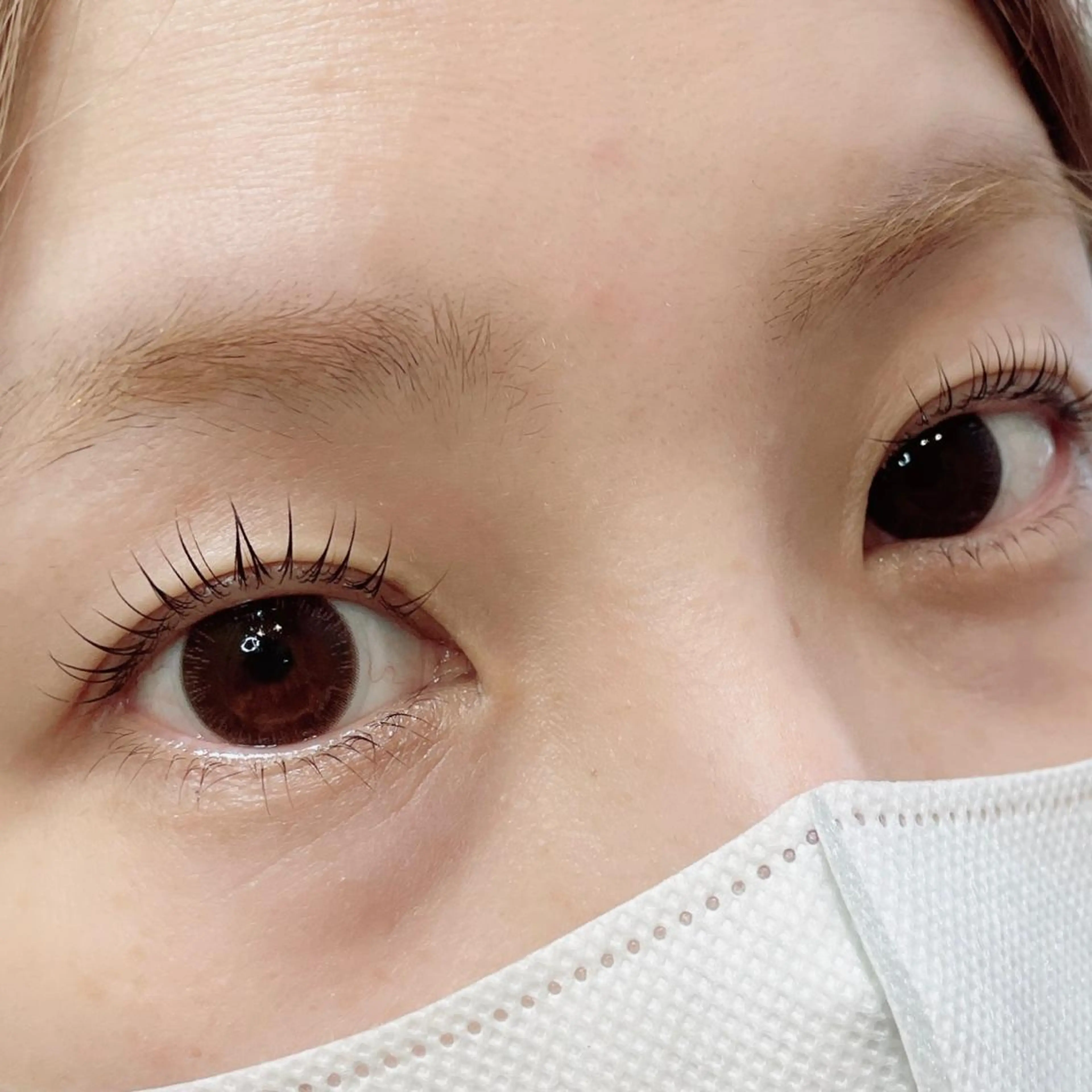 マツエク・マツパ パリジェンヌラッシュリフト 下まつげエクステ マツエク SEALA 高石の眉毛・アイブロウイメージ