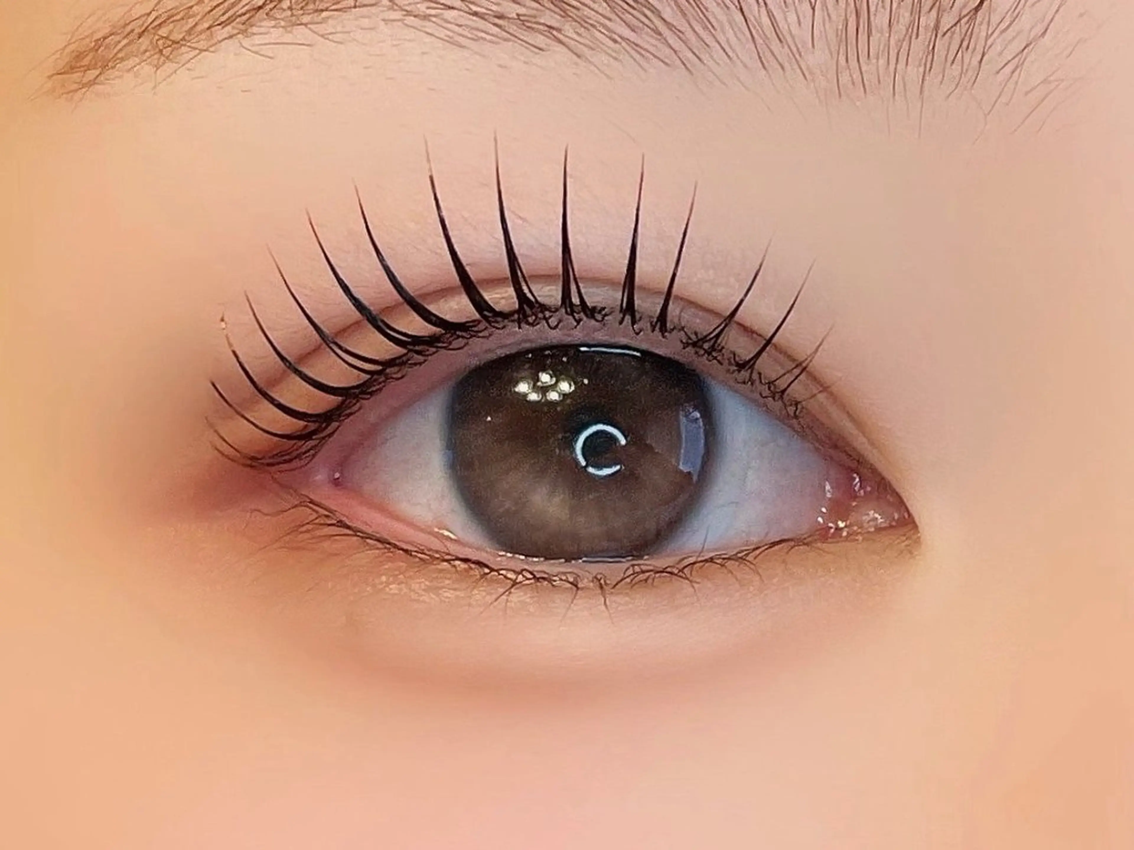 マツエク・マツパ palemoon所属・pale moonのマツエク・マツパデザイン