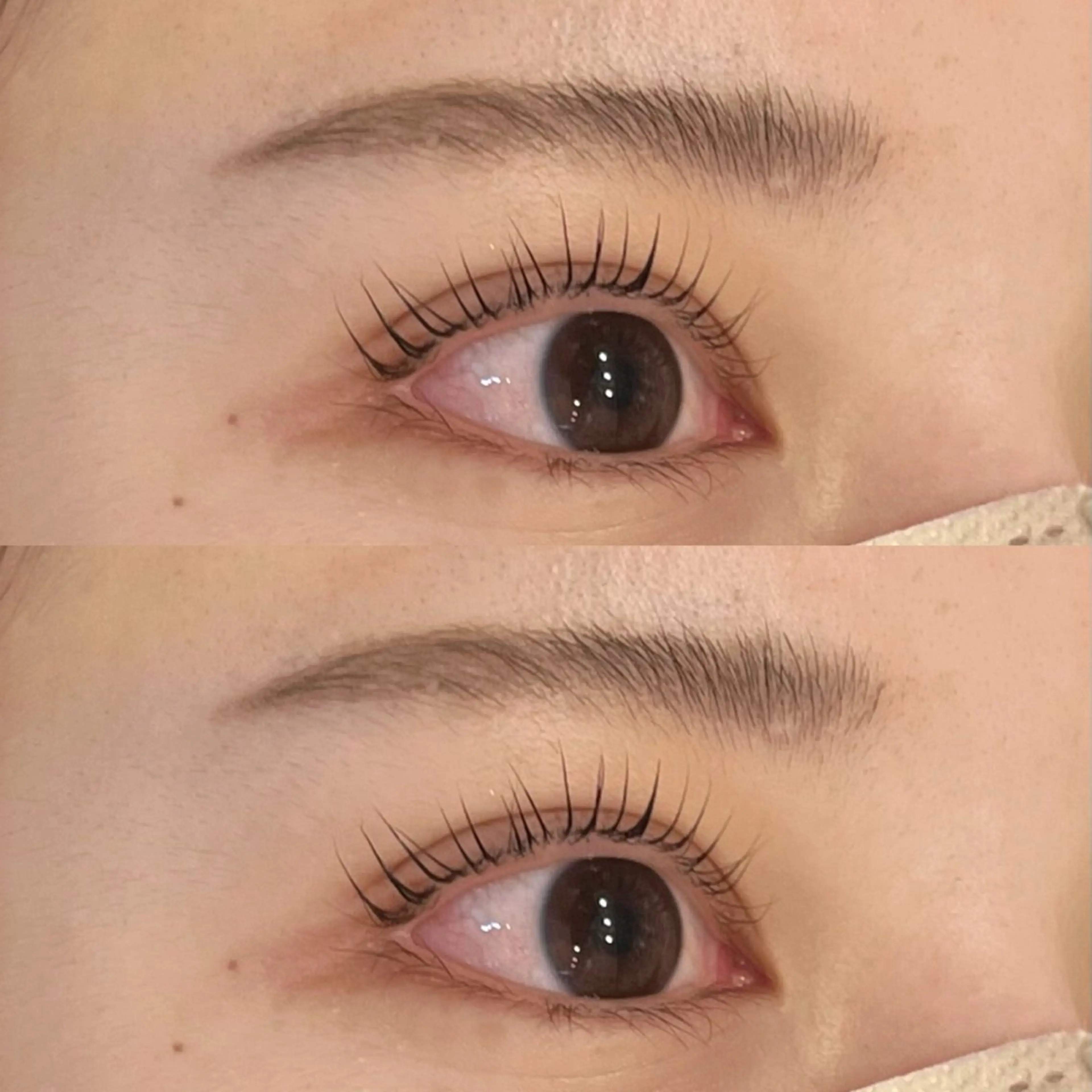 《入学式クーポン》🎓選べるまつ毛パーマ🌸＋アイブロウ+アイシャンプーの写真