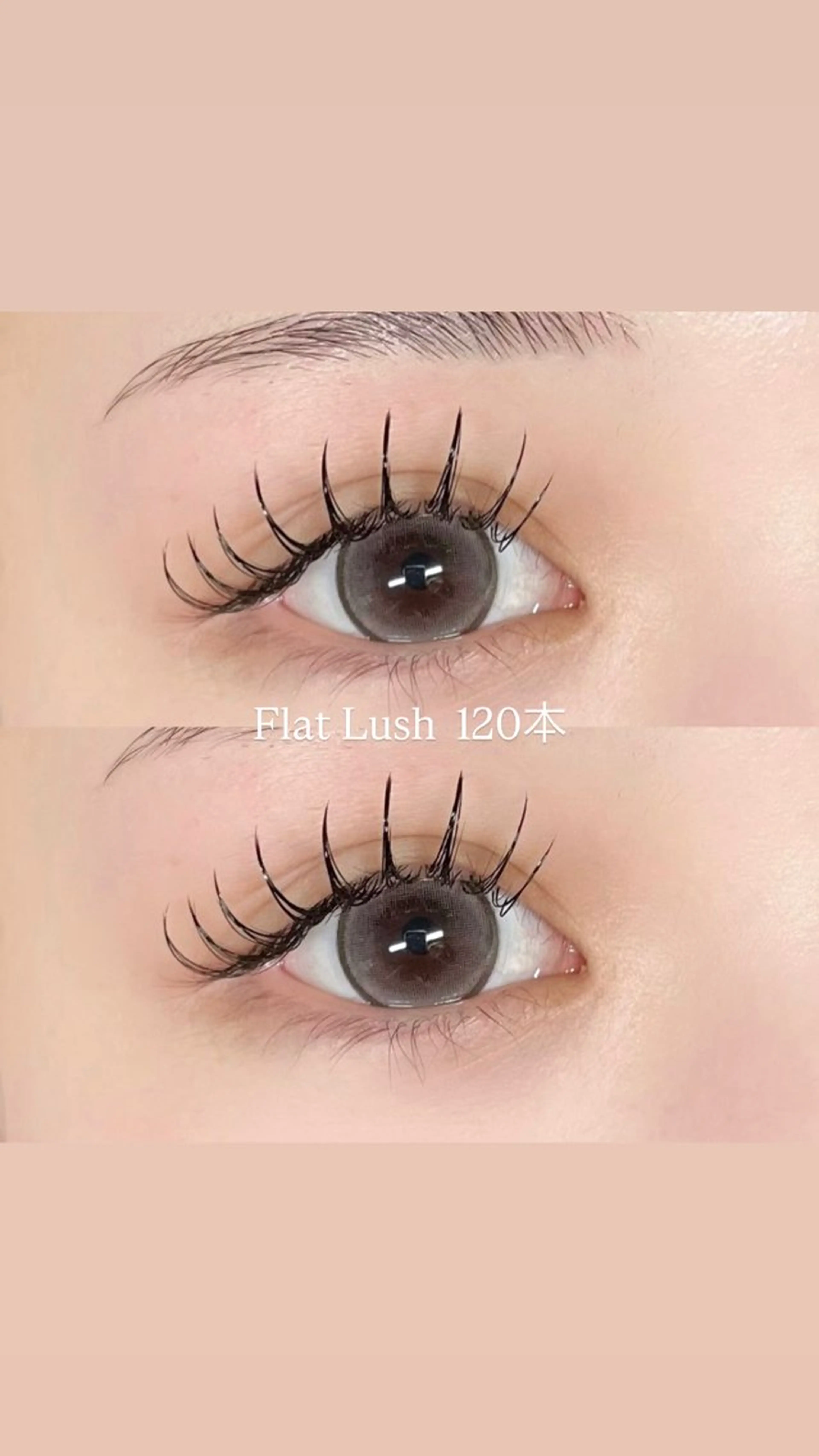 【4/16限定価格✨️】 LEDフラット120本🩷オフあり🙆🏻♀️の写真