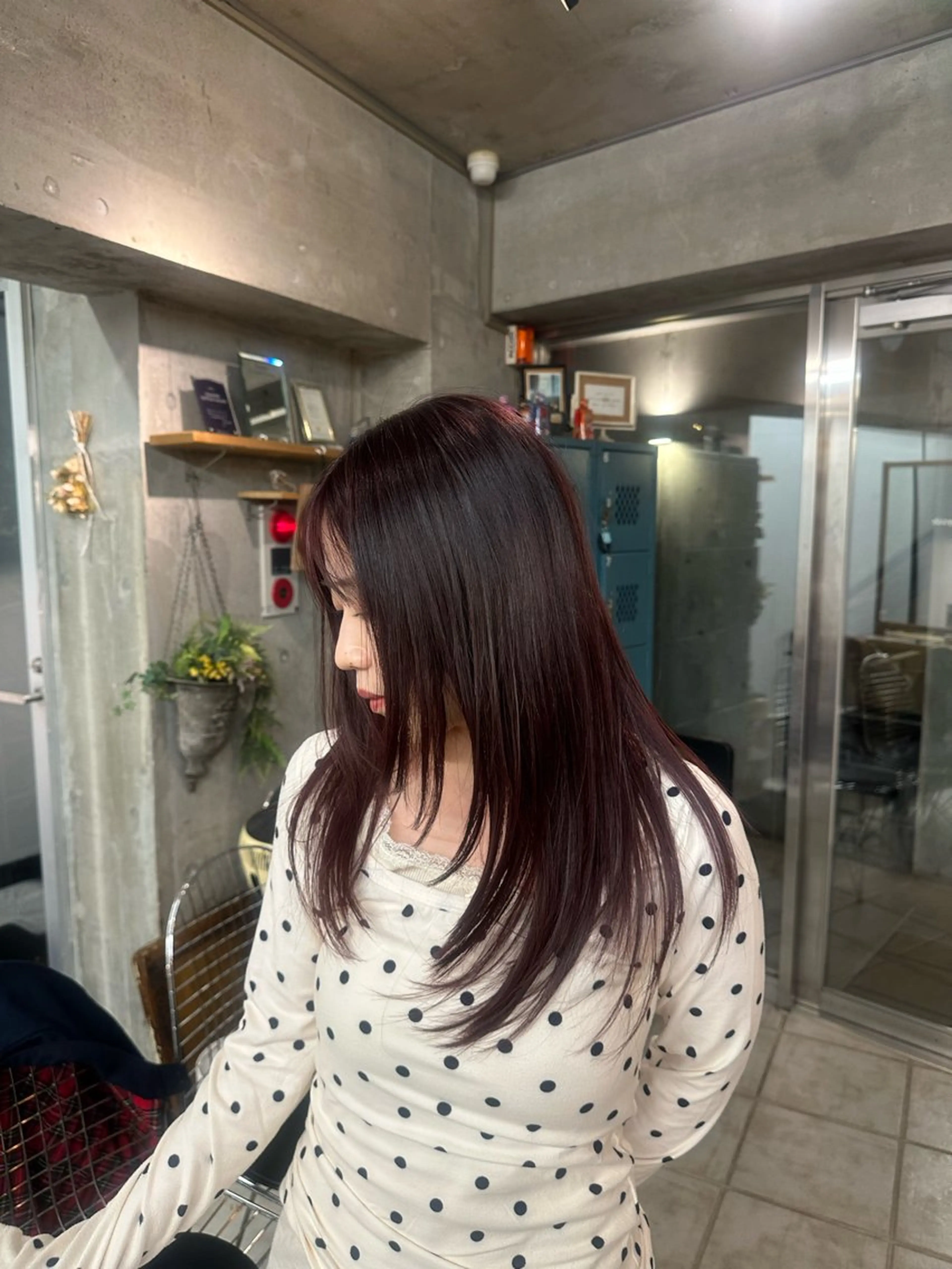 セミロング カラー 関谷 航太のヘアスタイル