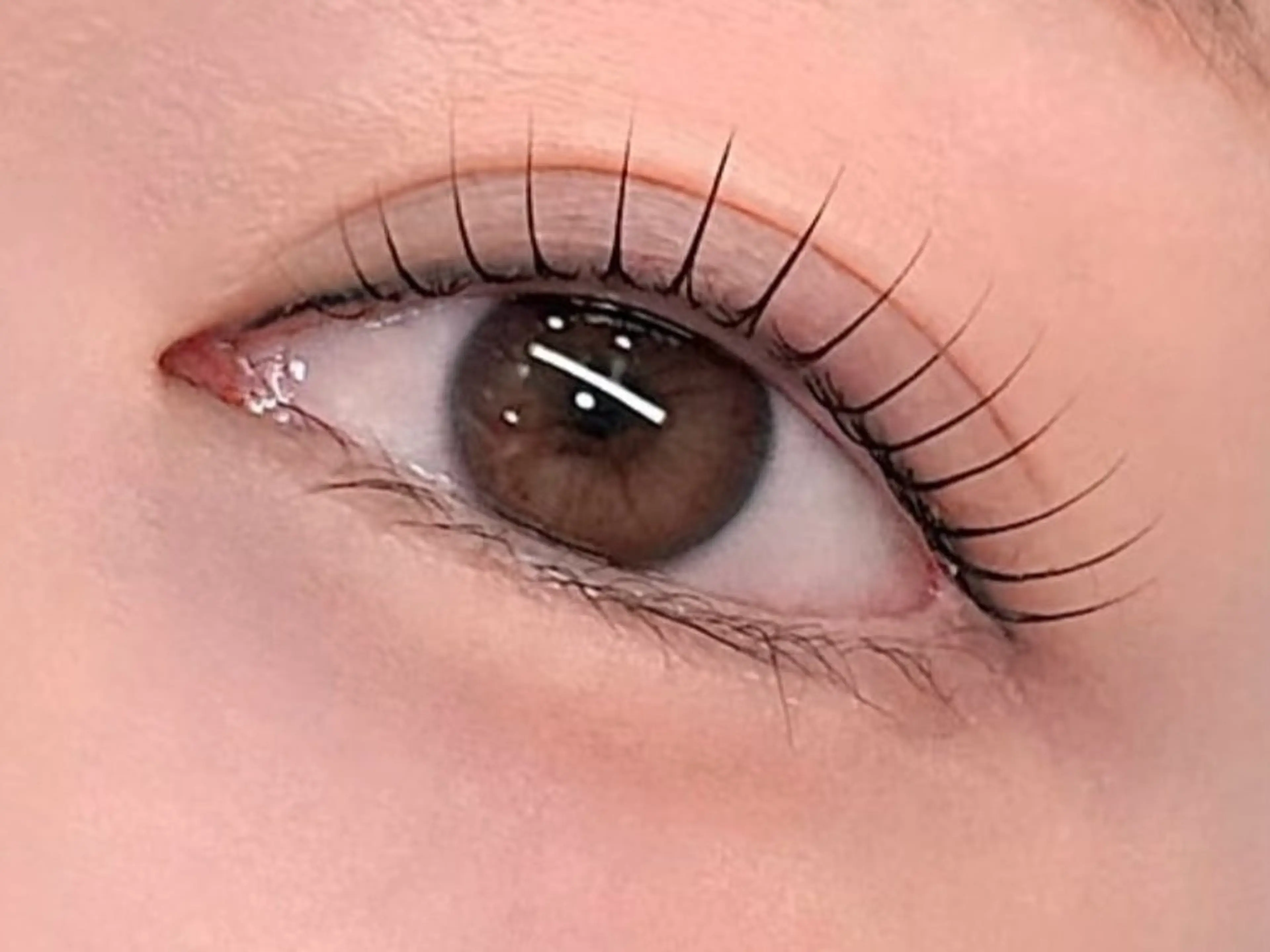 韓国風マスカラパーマ＋美容液コーテイング付きの写真