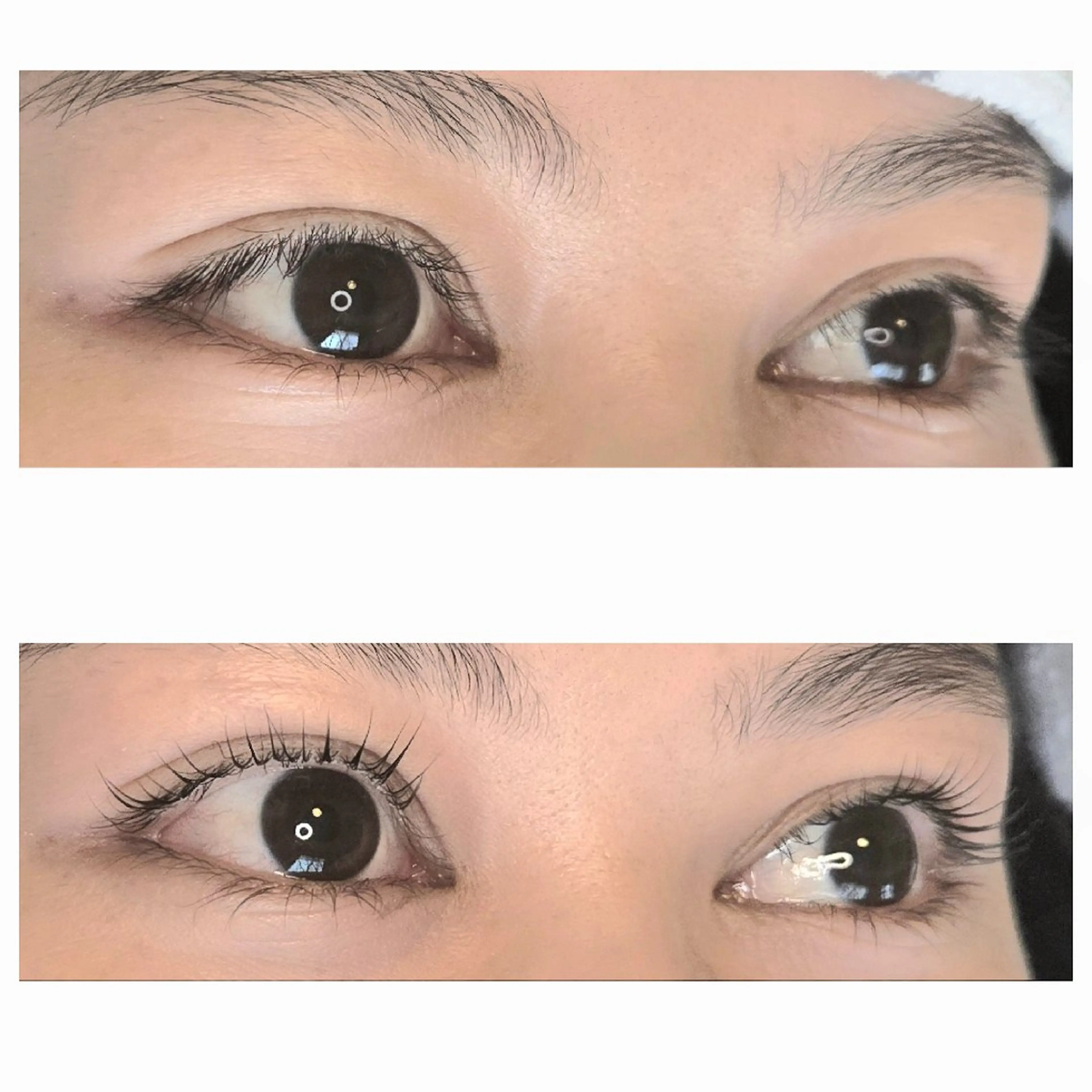 マツエク・マツパ Vine eyelashのマツエク・マツパデザイン