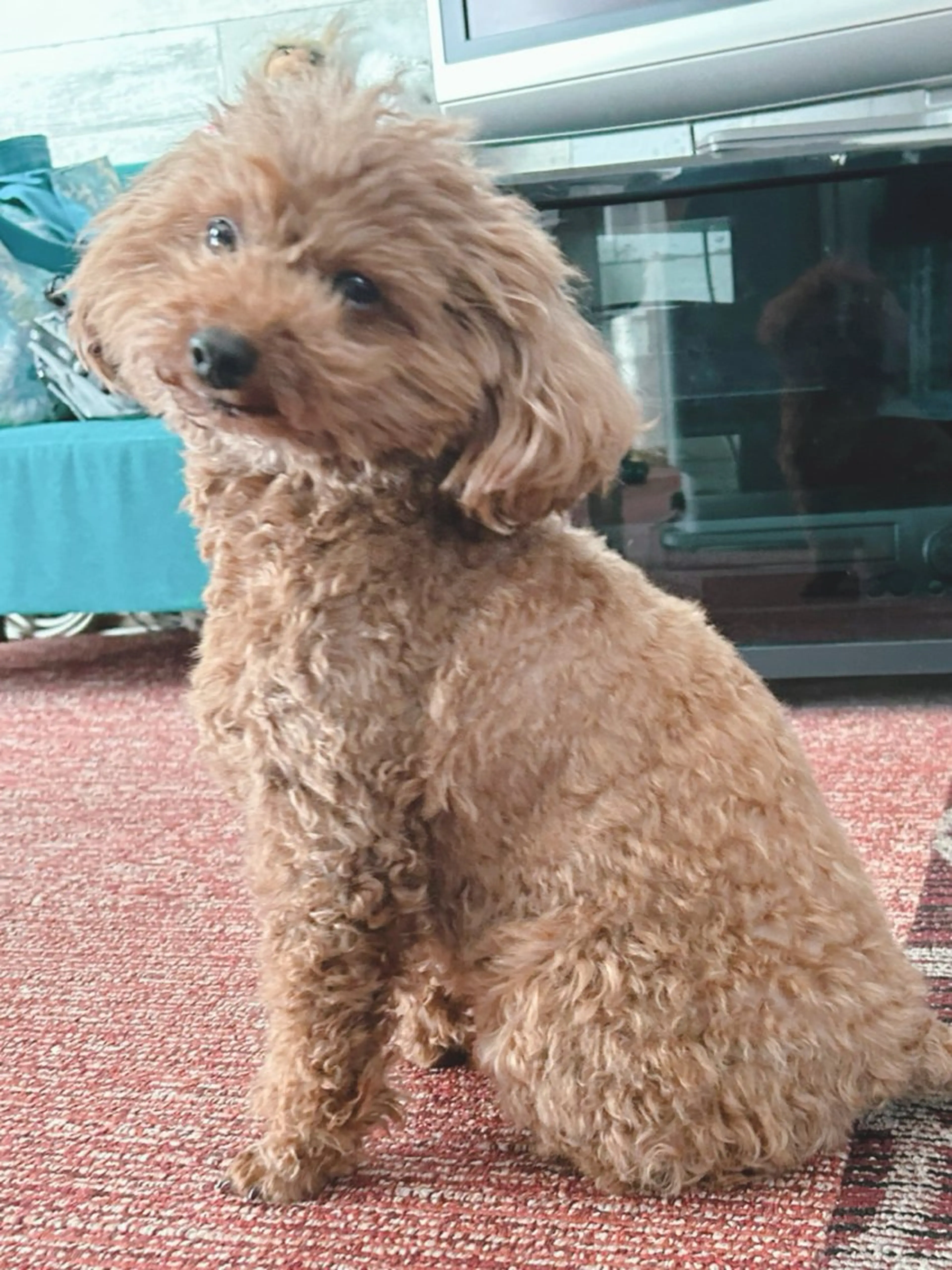 その他 たけいえ ひとみのエステ・リラクイメージ