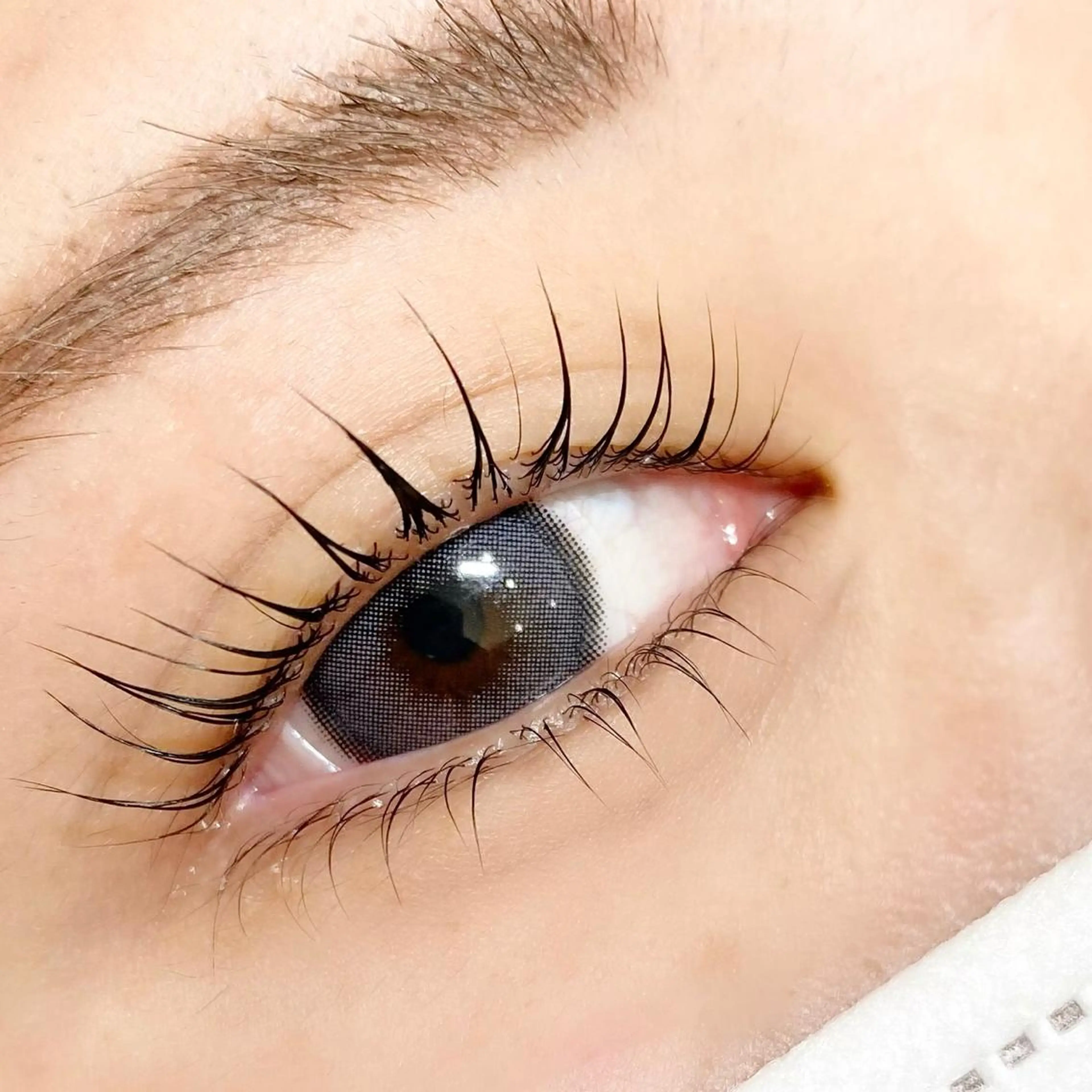 マツエク・マツパ Lily (リリー) 🔰下坂のマツエク・マツパデザイン