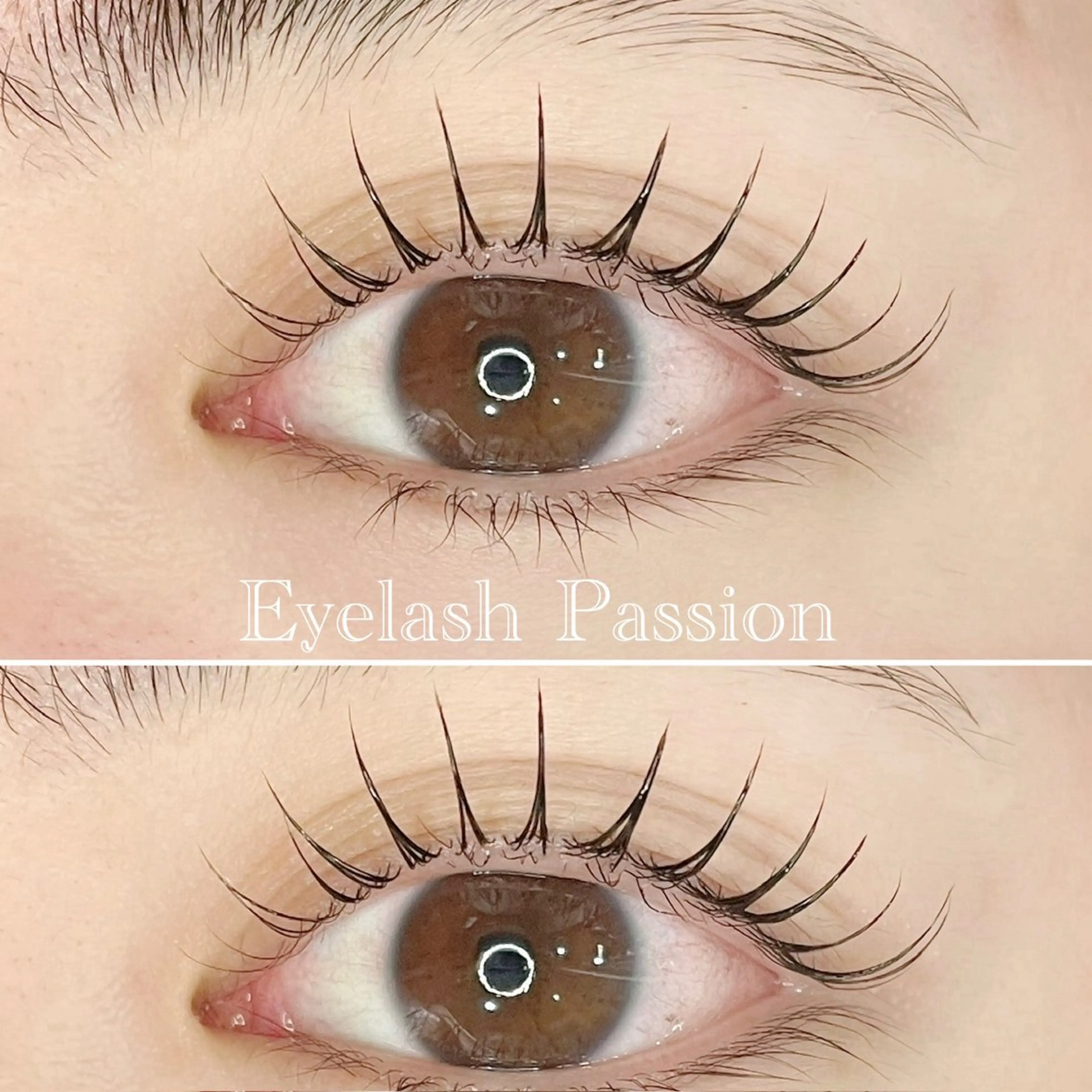 マツエク・マツパ eyelash Passion 木下のマツエク・マツパデザイン