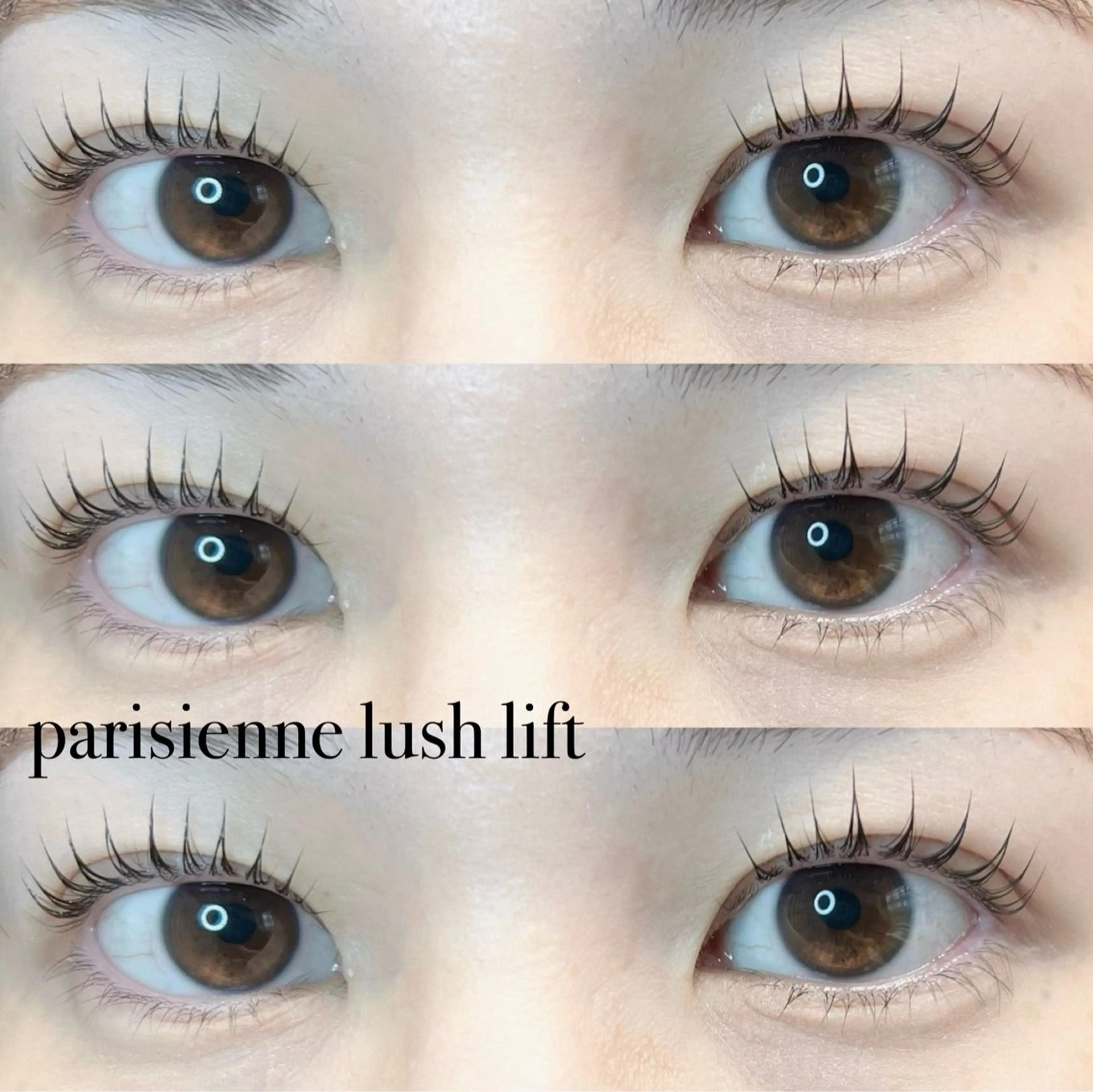 【人気メニュー🎀】パリジェンヌラッシュリフト➕ハリウッドブロウリフトの写真