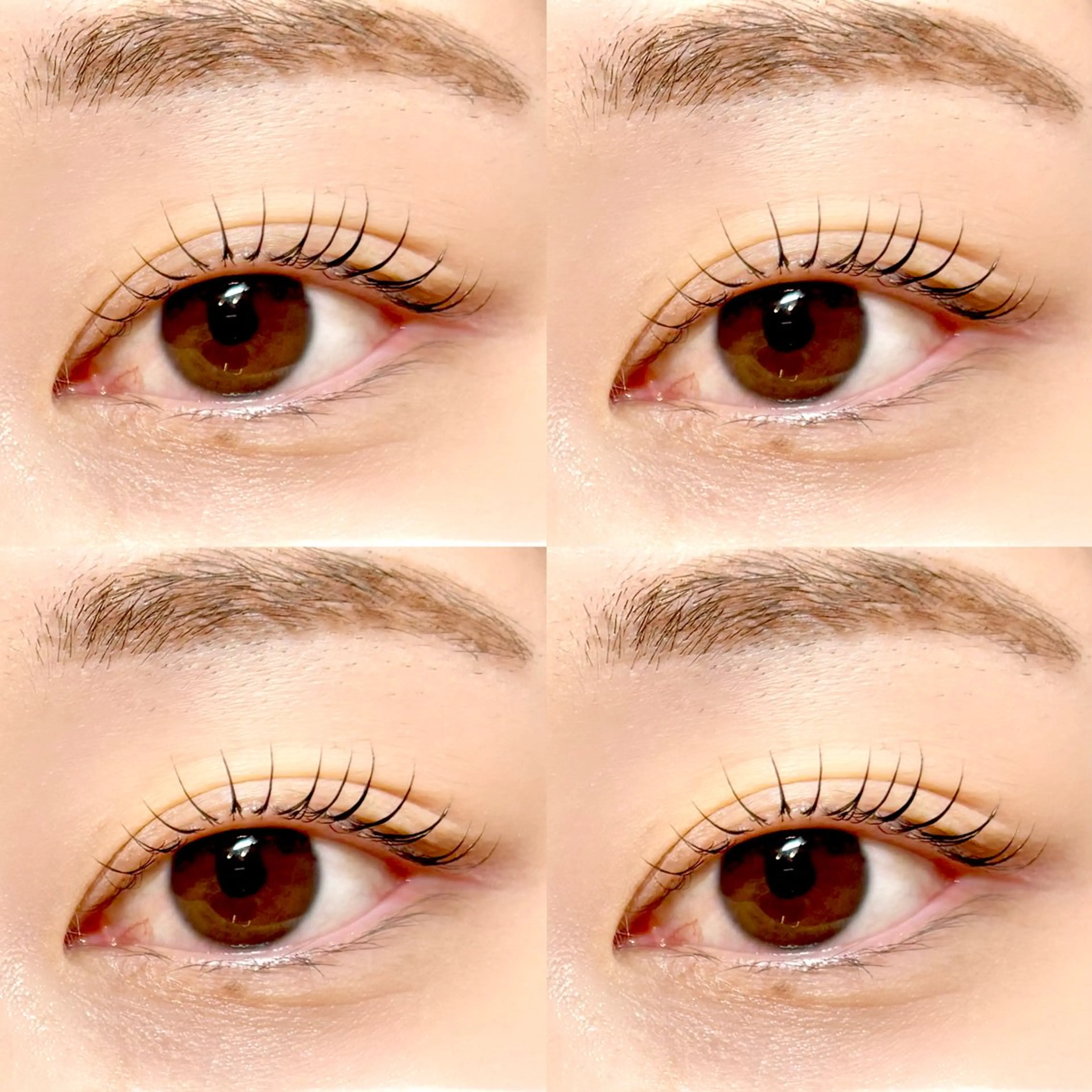 マツエク・マツパ ナチュラル パリジェンヌラッシュリフト まつげパーマ 一重×まつ毛パーマ 表参道eyelist KONOMIのマツエク・マツパデザイン