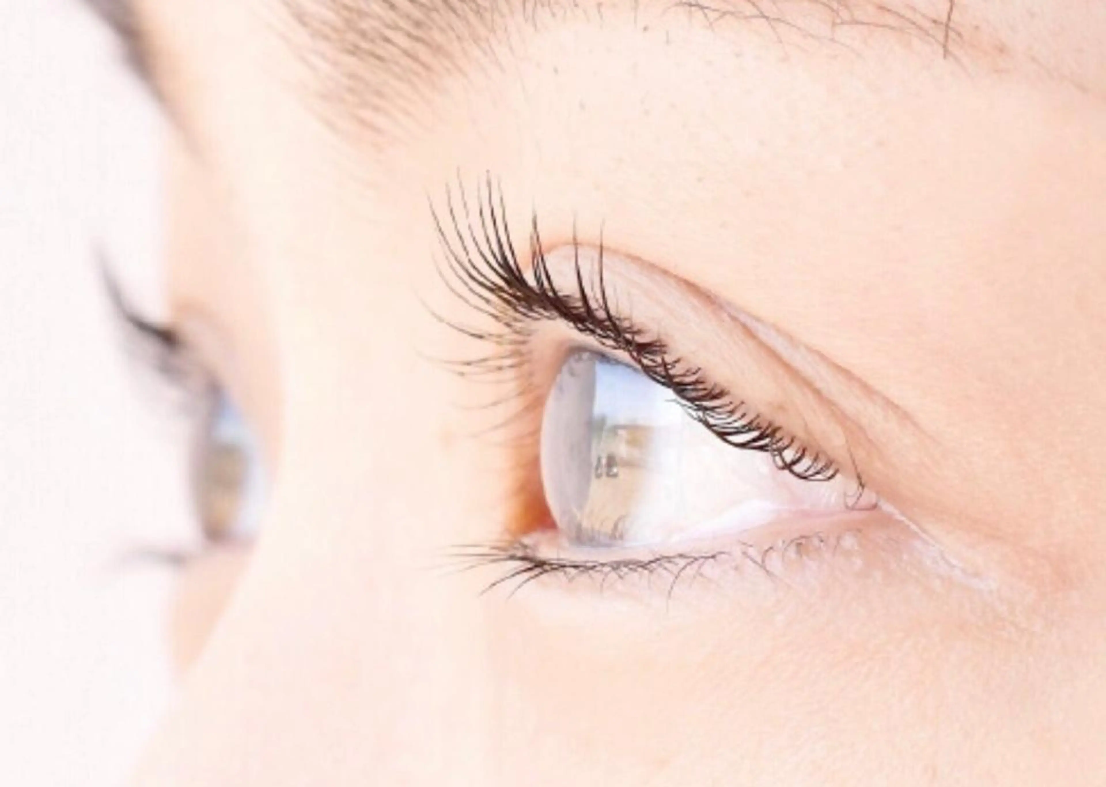 【1番人気★初回】パリジェンヌラッシュ＆スッキリアイシャンプー付￥6200の写真