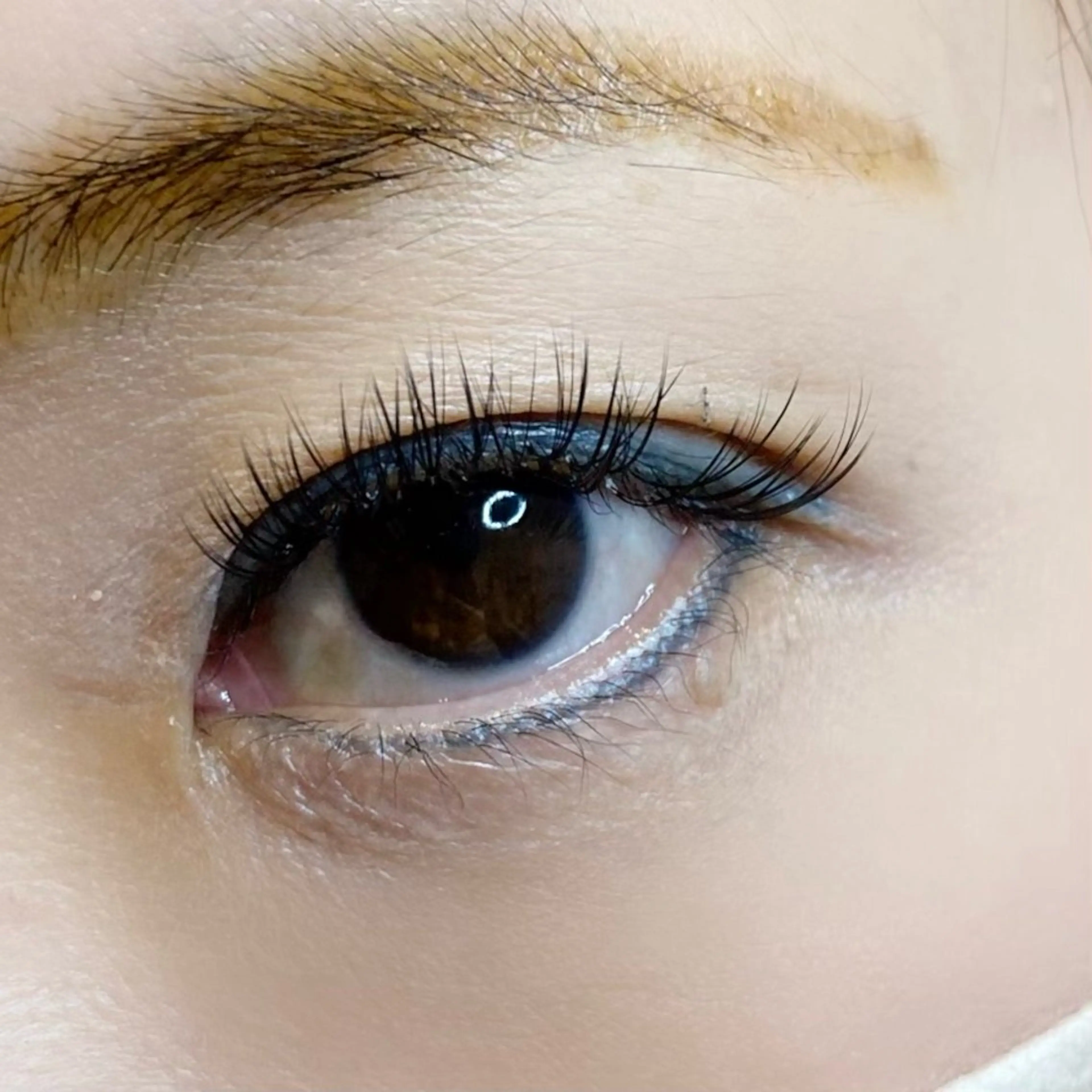 マツエク・マツパ マツエク EYELASHSALON  PINO所属・eyelash salon PINOのマツエク・マツパデザイン