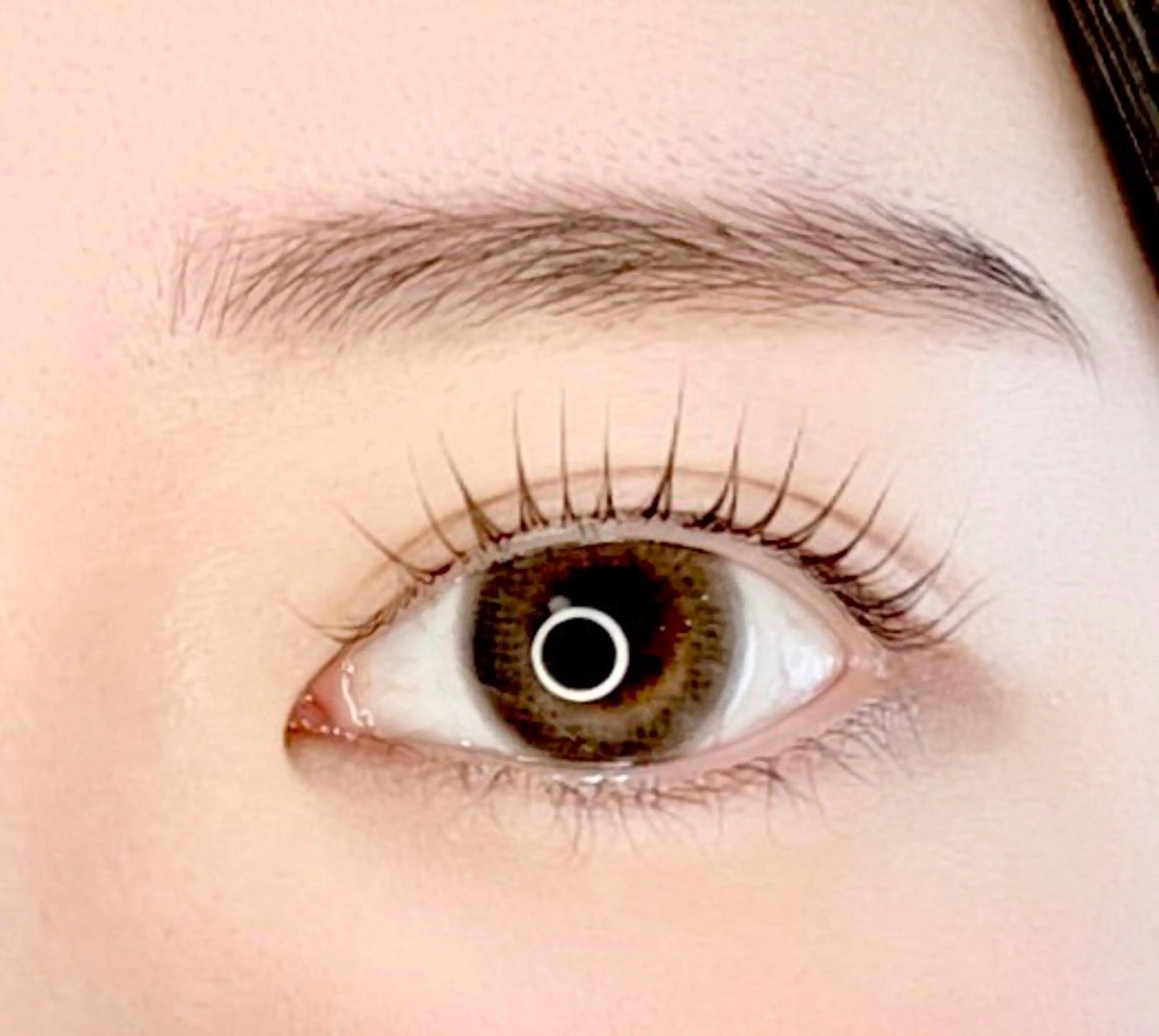 マツエク・マツパ 【CLAIR】 小橋のマツエク・マツパデザイン