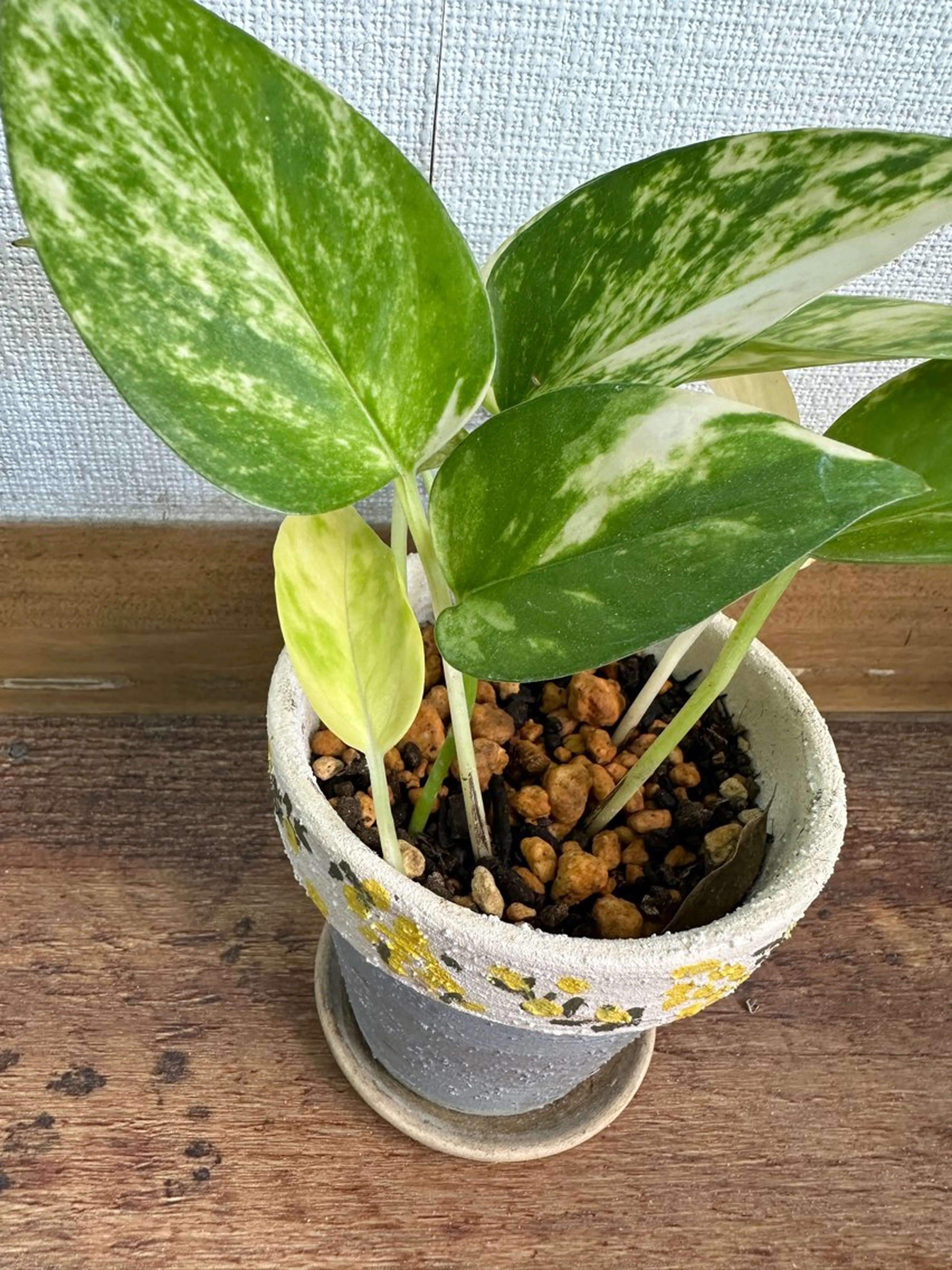 nailsalon ∞ ﾐｶﾅﾙ ∞のネイルデザイン