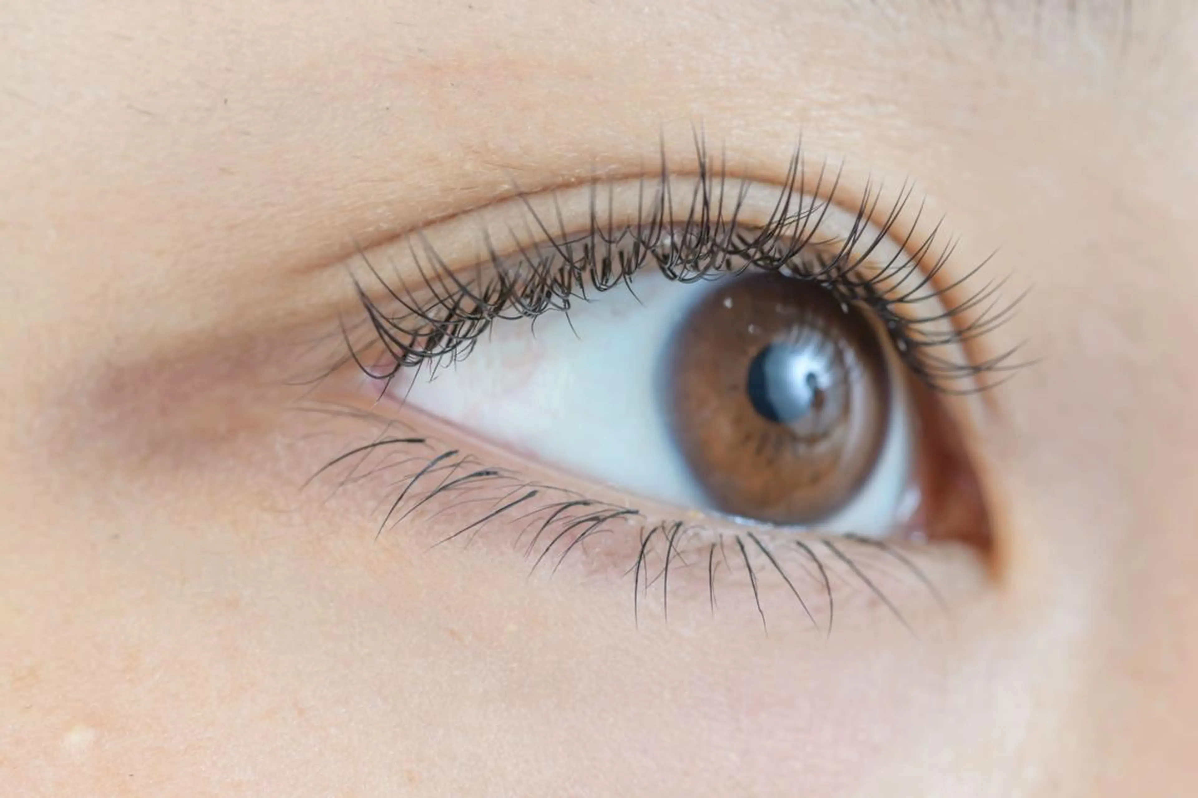 マツエク・マツパ セーブル アイサロン フェア 海老名店のマツエク・マツパデザイン