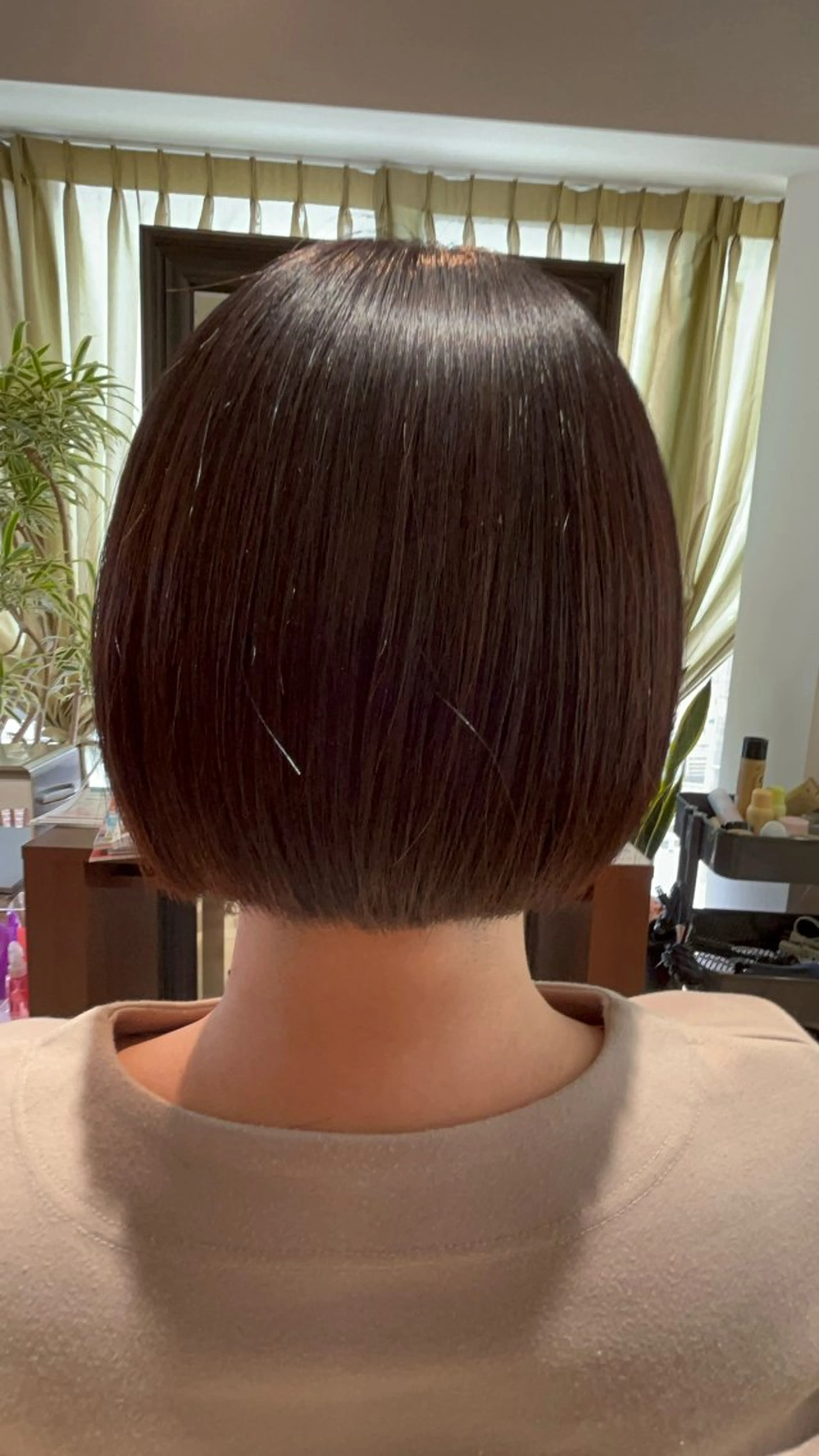 ショート Alegria アレグリアのヘアスタイル