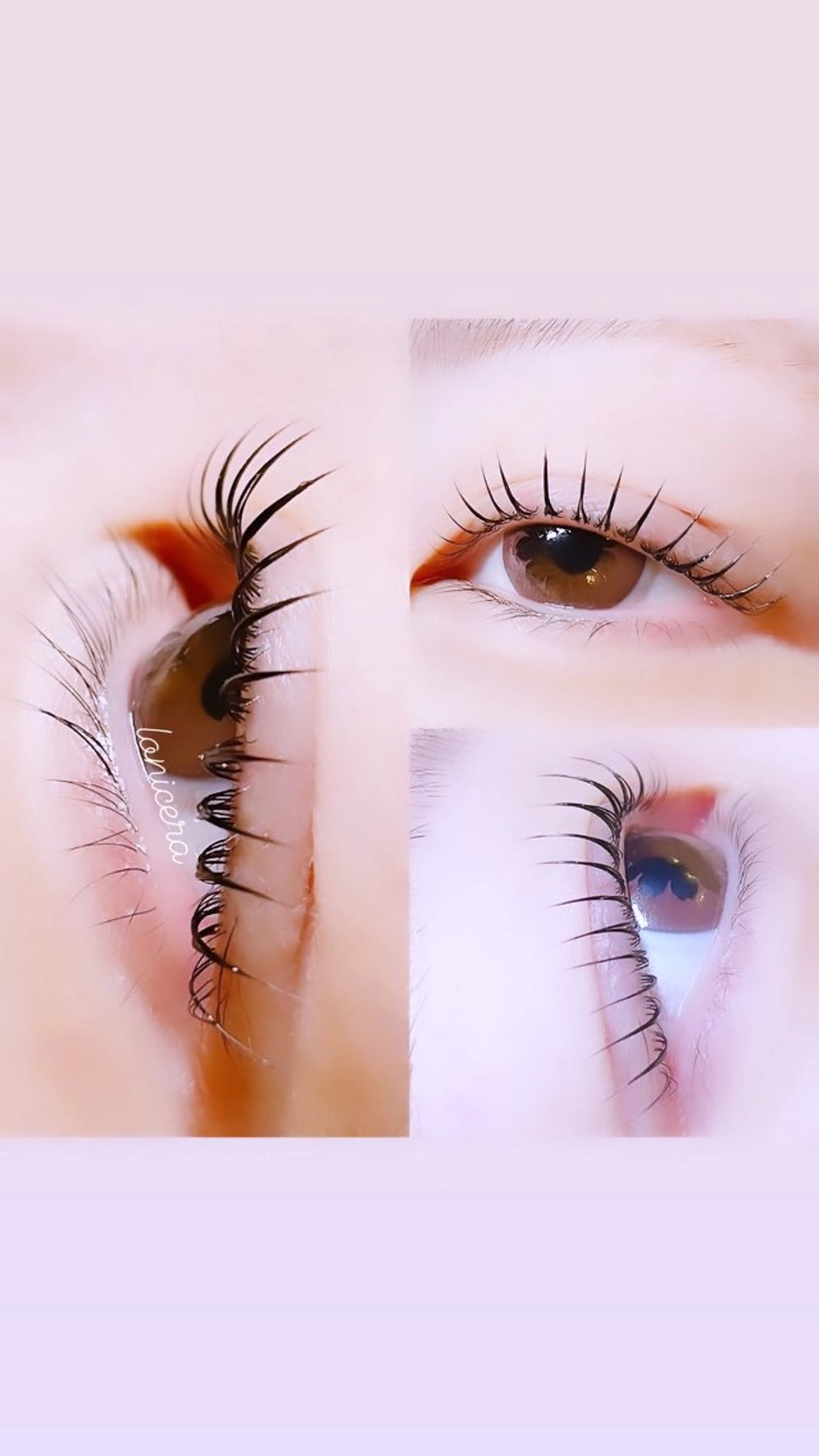 マツエク・マツパ ロニセラ アイラッシュのマツエク・マツパデザイン