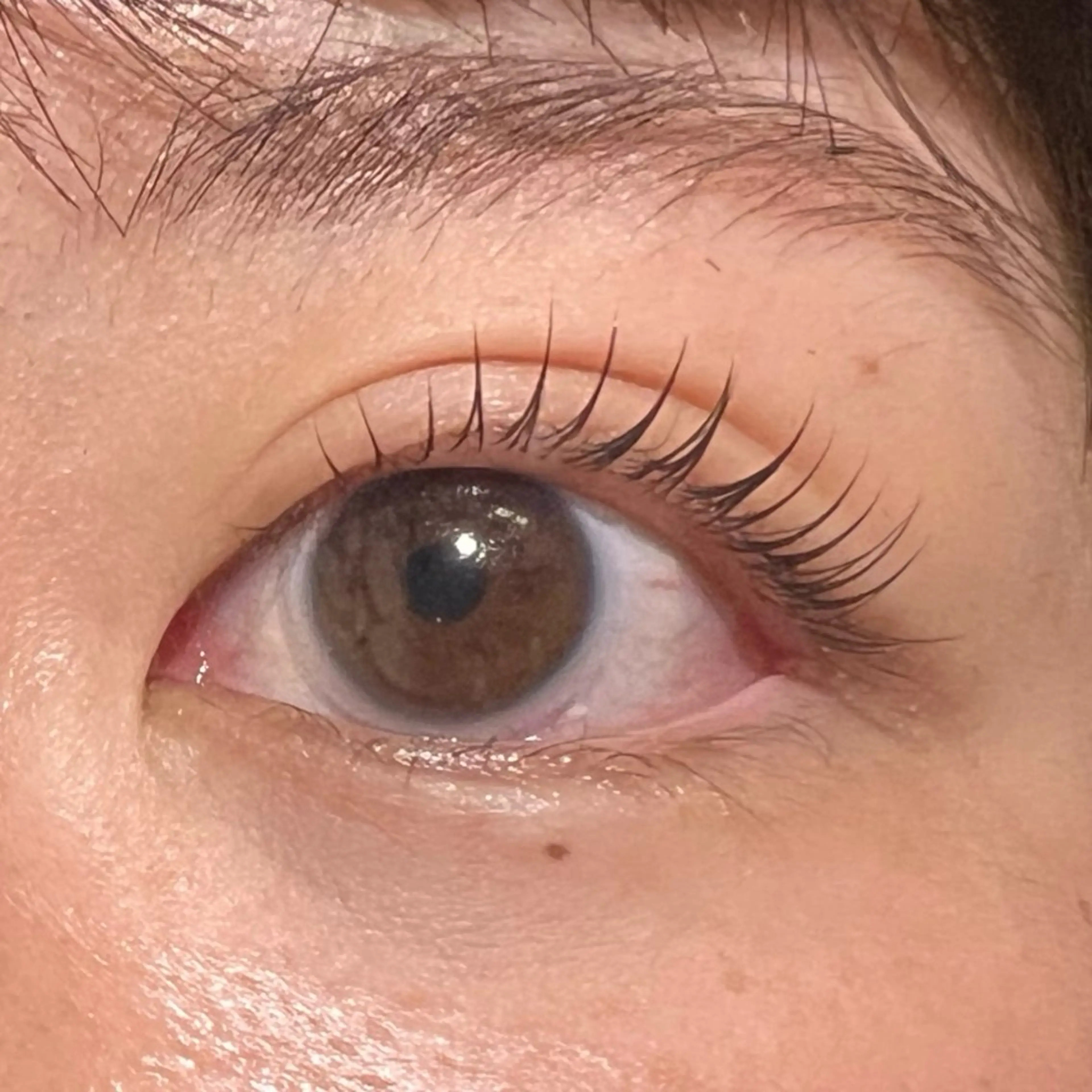 まつ毛パーマラッシュリフト♡(トリートメント・コーティング付)の写真