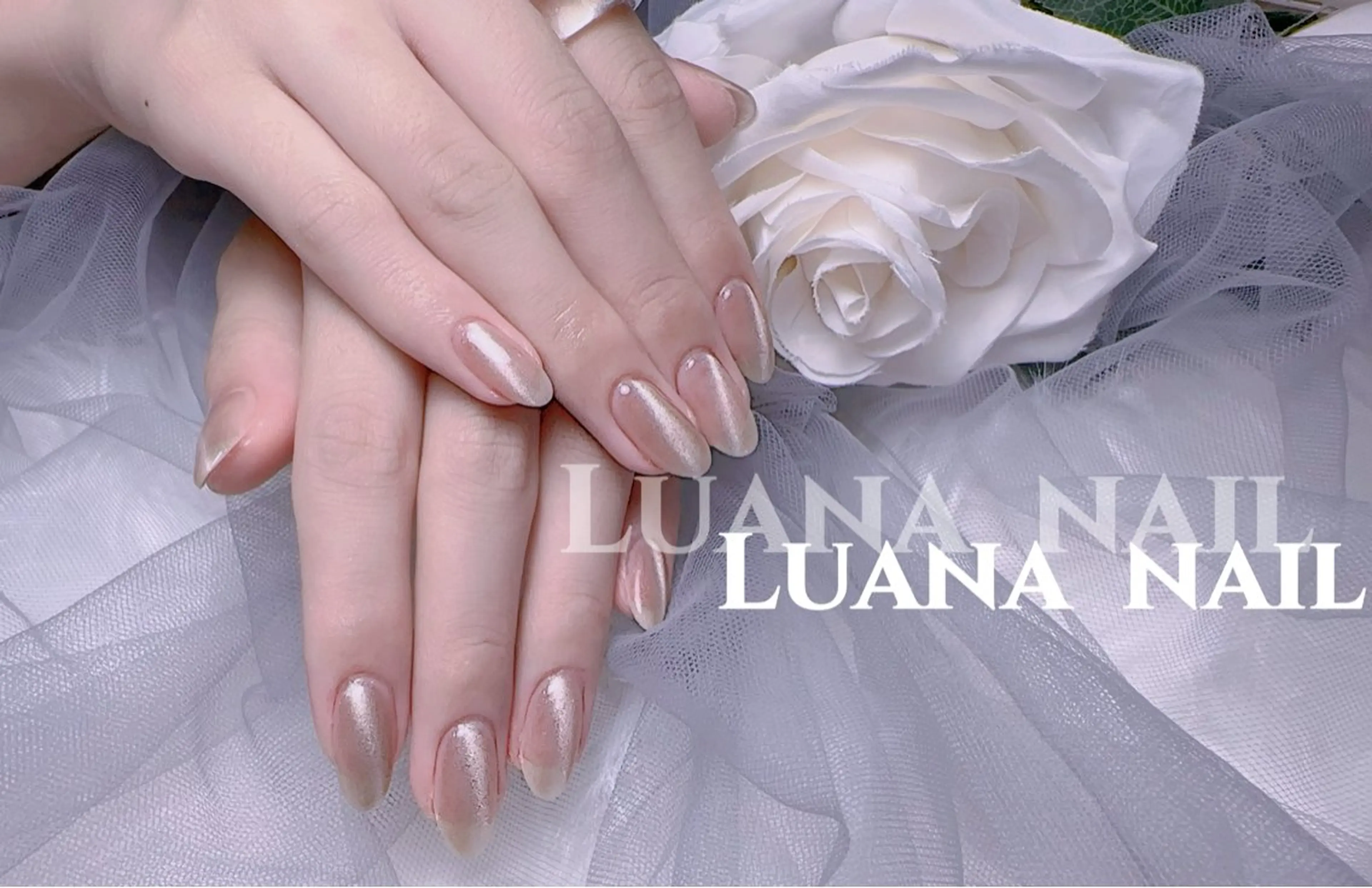 大人気マグネットワンカラーオフ込みの写真