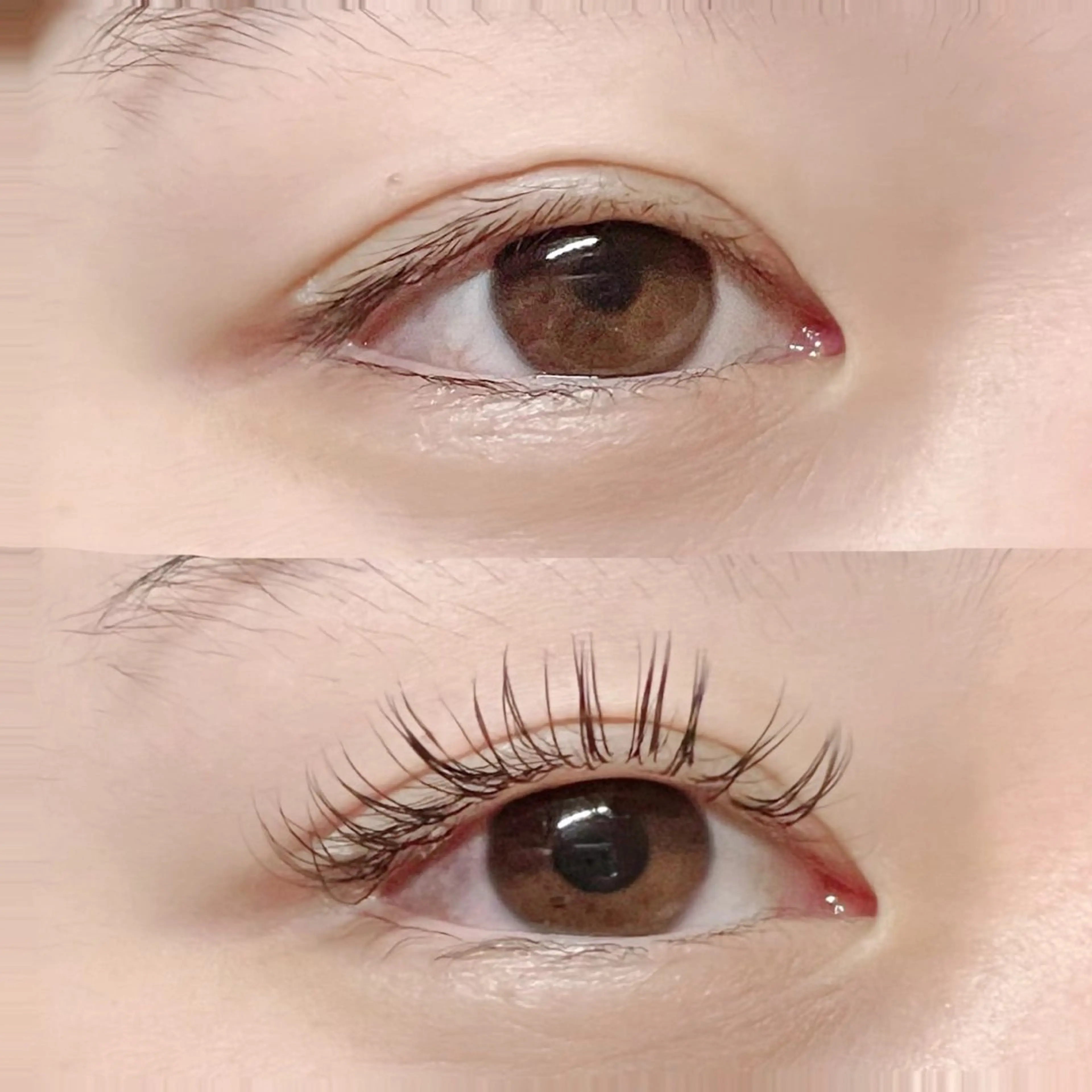 🤍 プレミアムセーブル 80本の写真