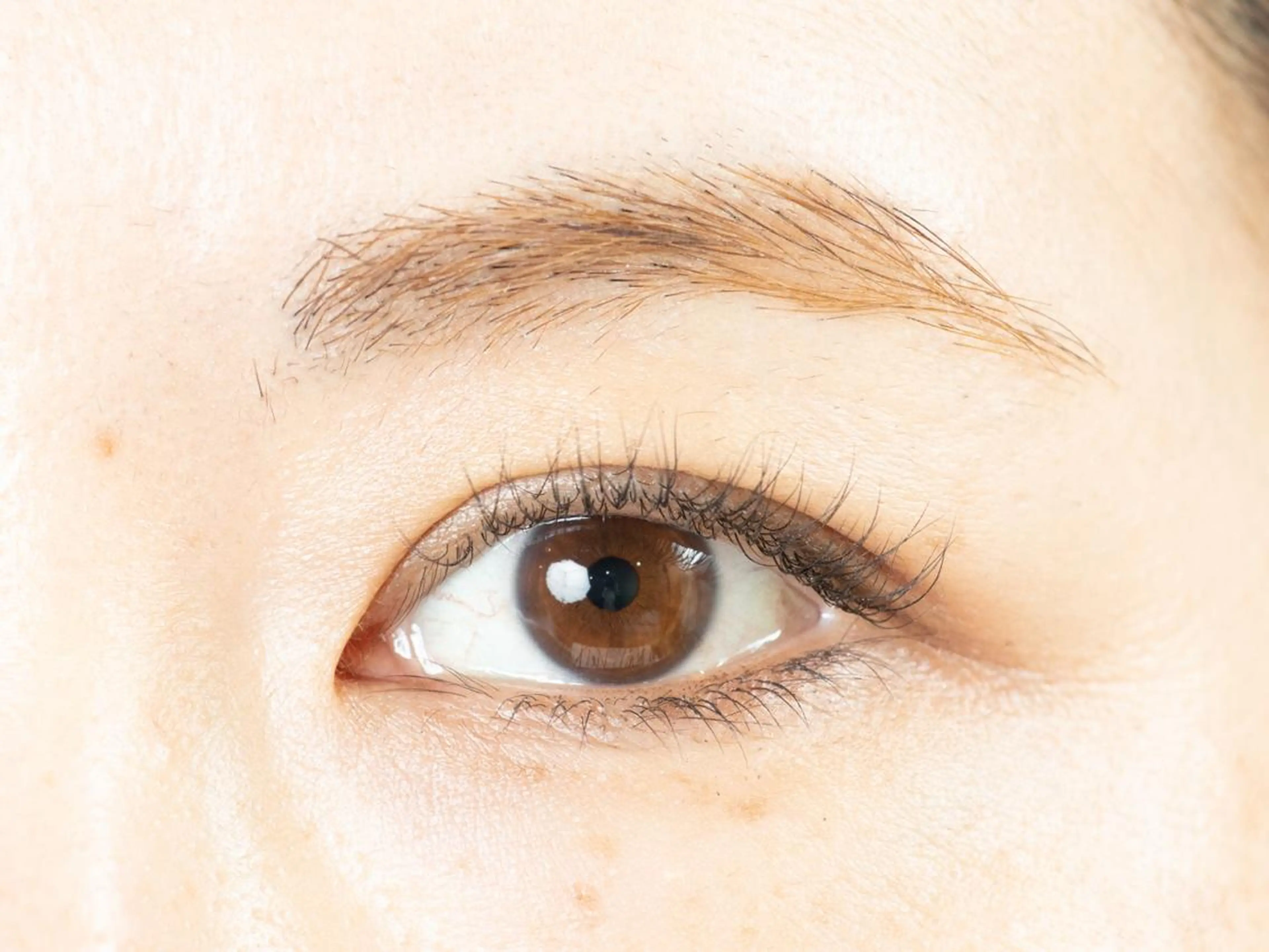 マツエク・マツパ LASH ラッシュのマツエク・マツパデザイン