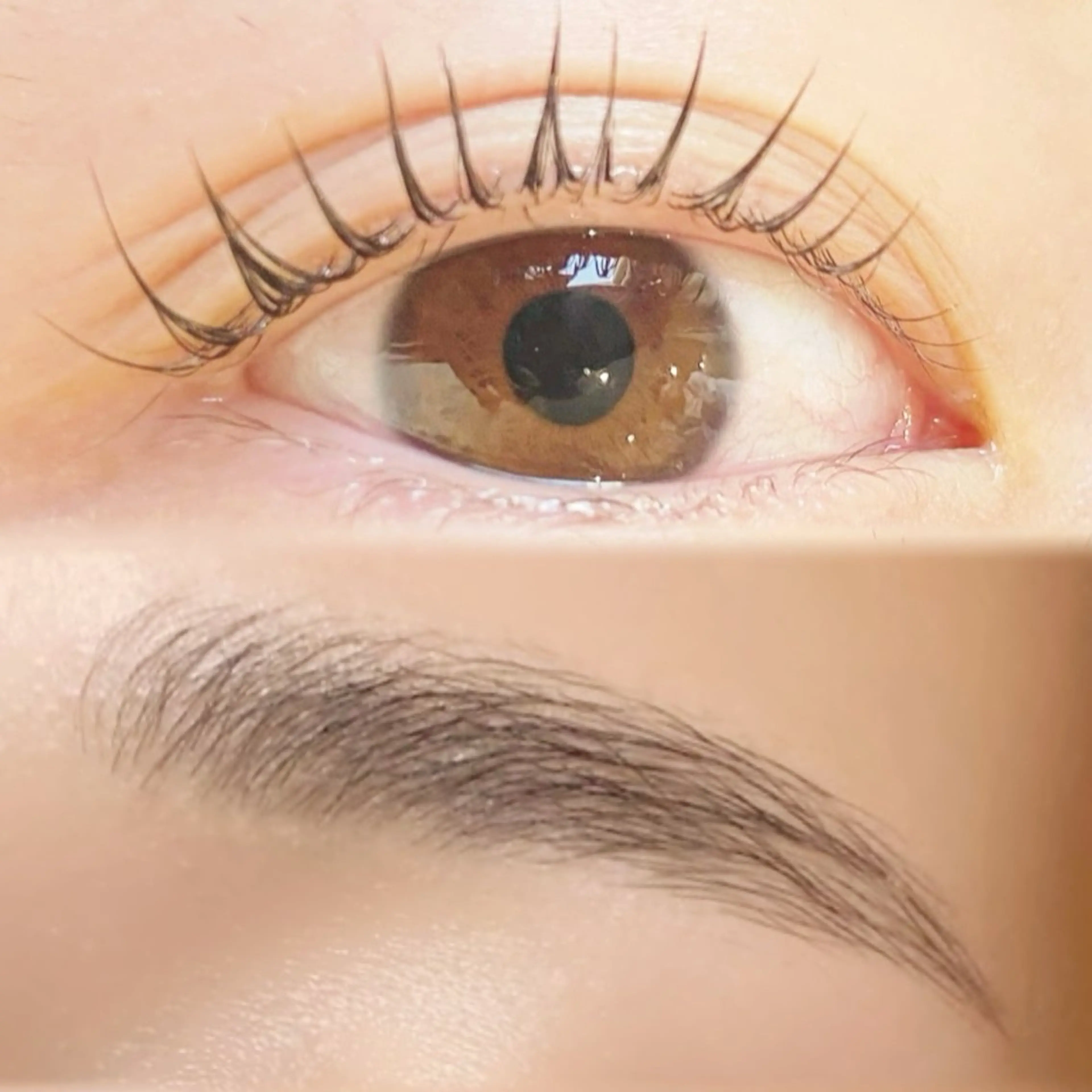 【理想のカール×垢抜け顔♪】ラッシュリフト（パリジェンヌOK）＆アイブロウスタイリング🌷トリートメント、メイク付き🌷の写真