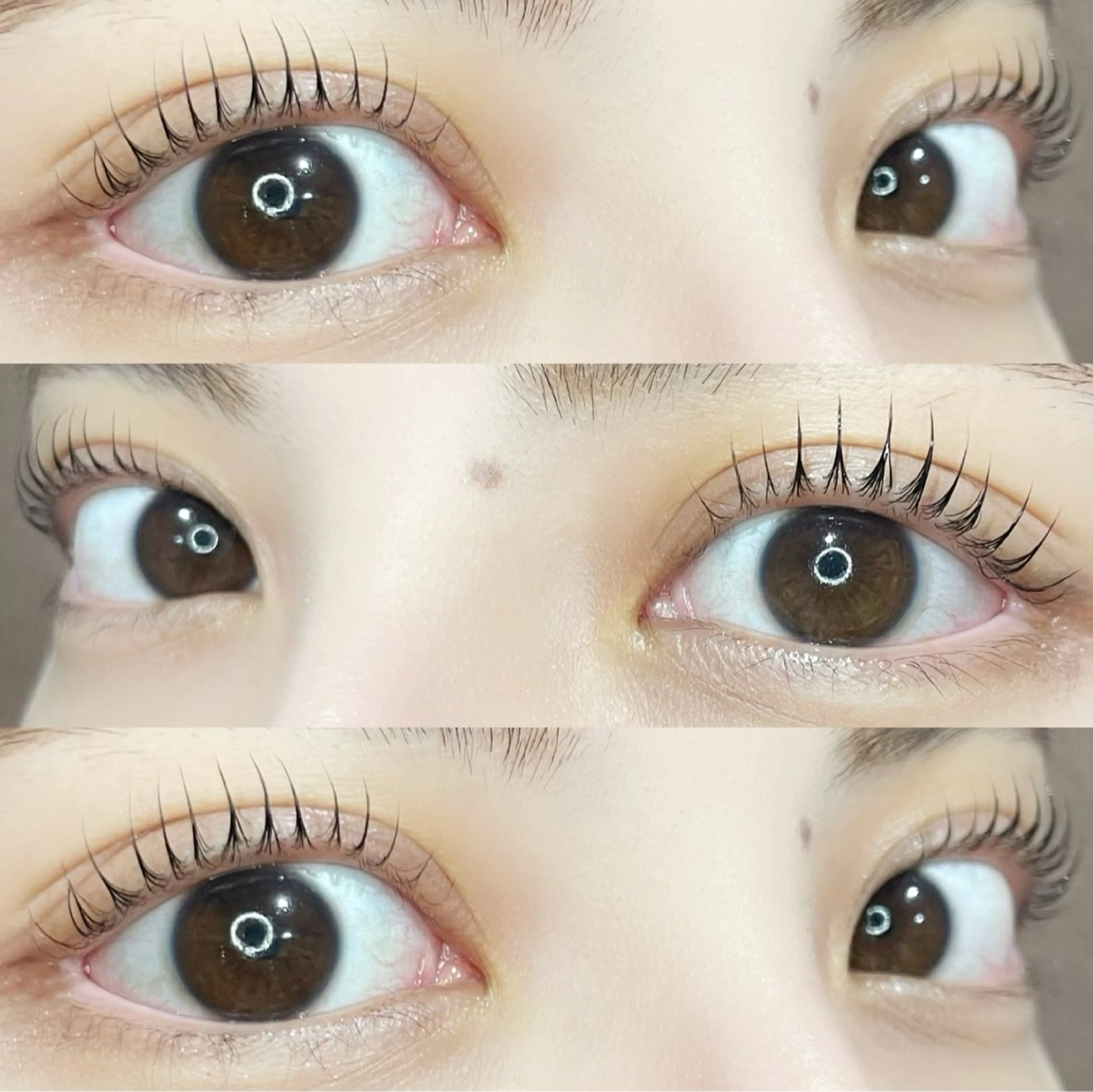 マツエク・マツパ 🦖fein. YUINA🦕⋆͛のマツエク・マツパデザイン