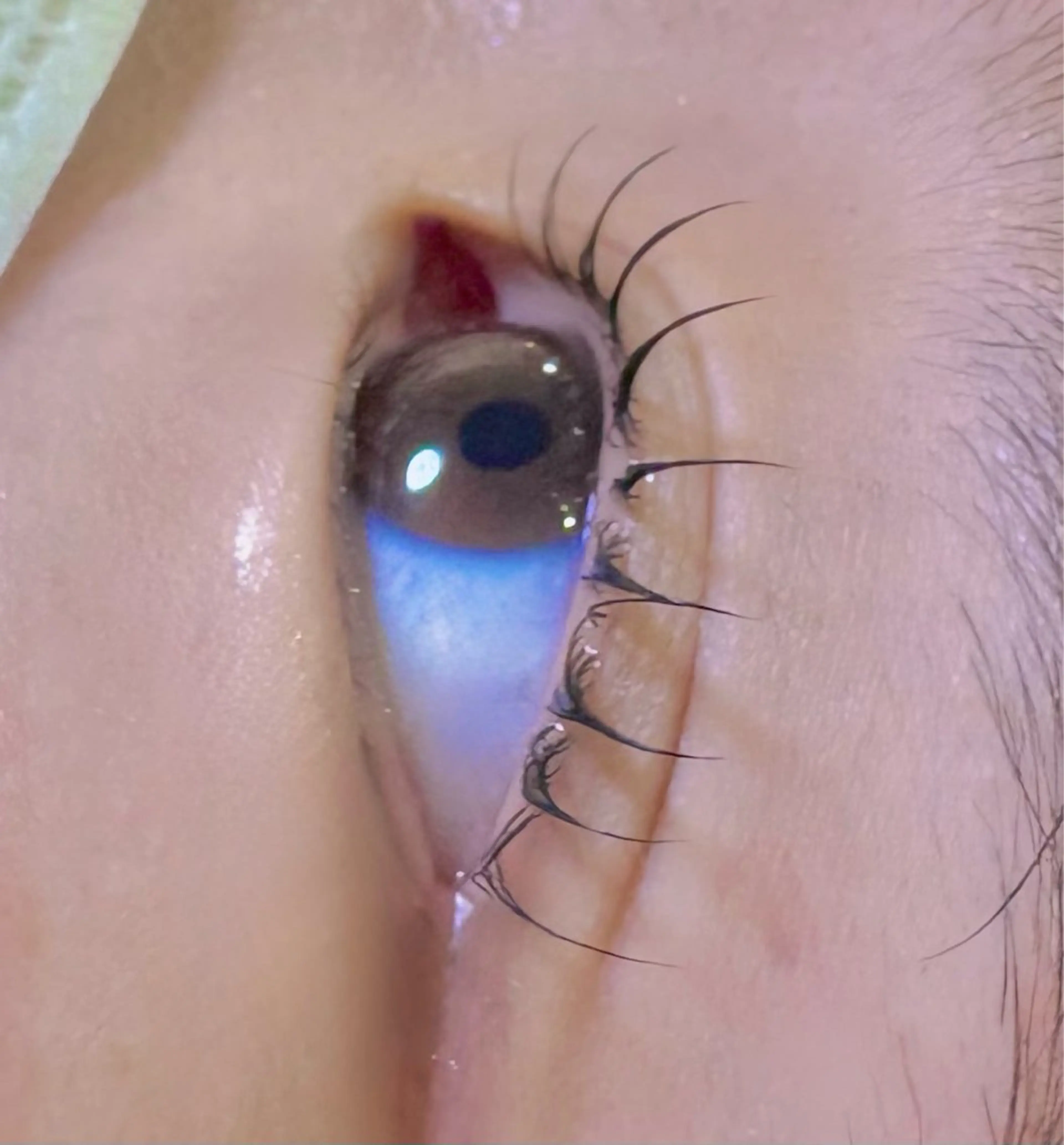 マツエク・マツパ 束感まつ毛 まつげパーマ マツパ RiSA / 【GIZELE】のマツエク・マツパデザイン