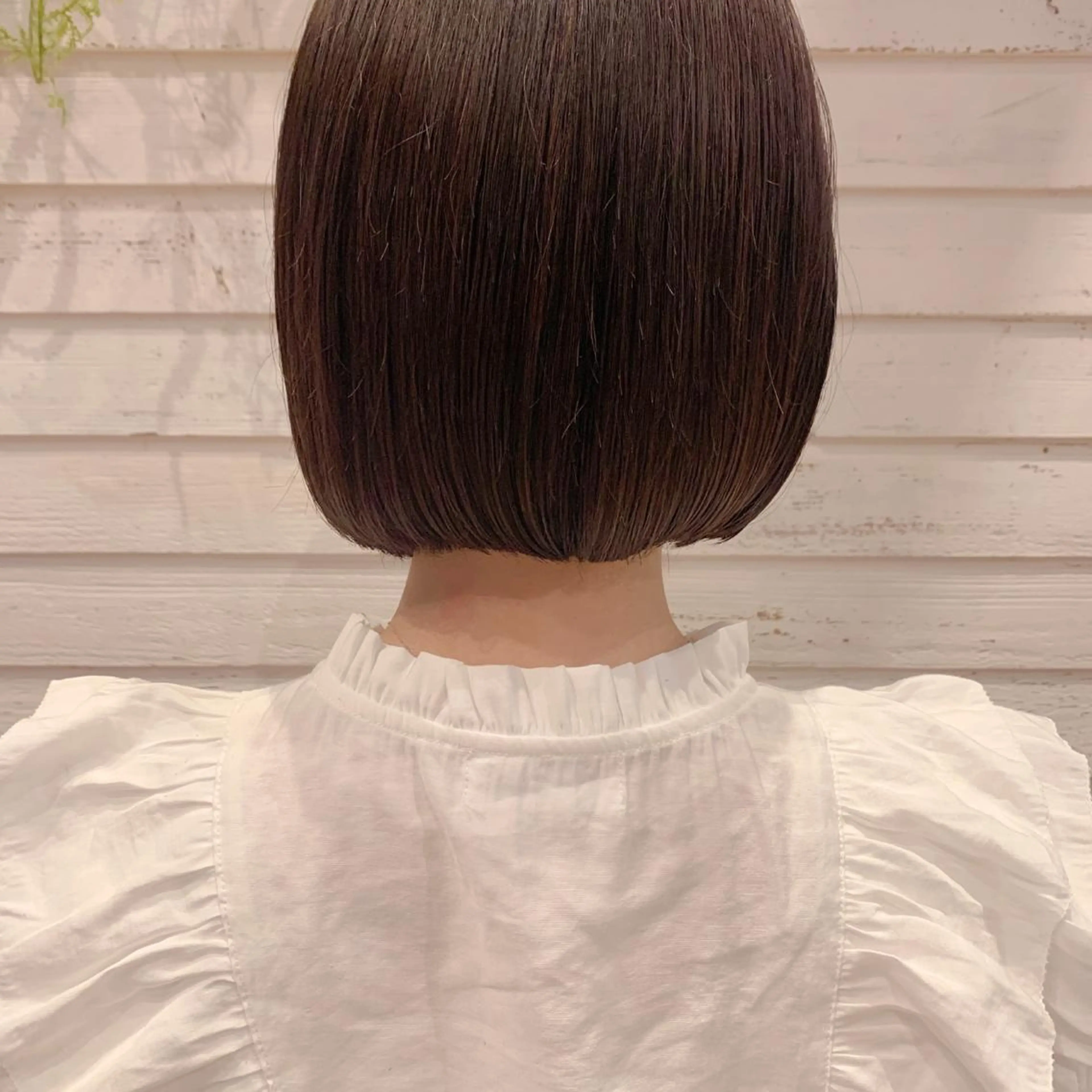 ショート カラー ボブ 🌱小顔ヘア/ボブ ミディアム/双葉🌱のヘアスタイル