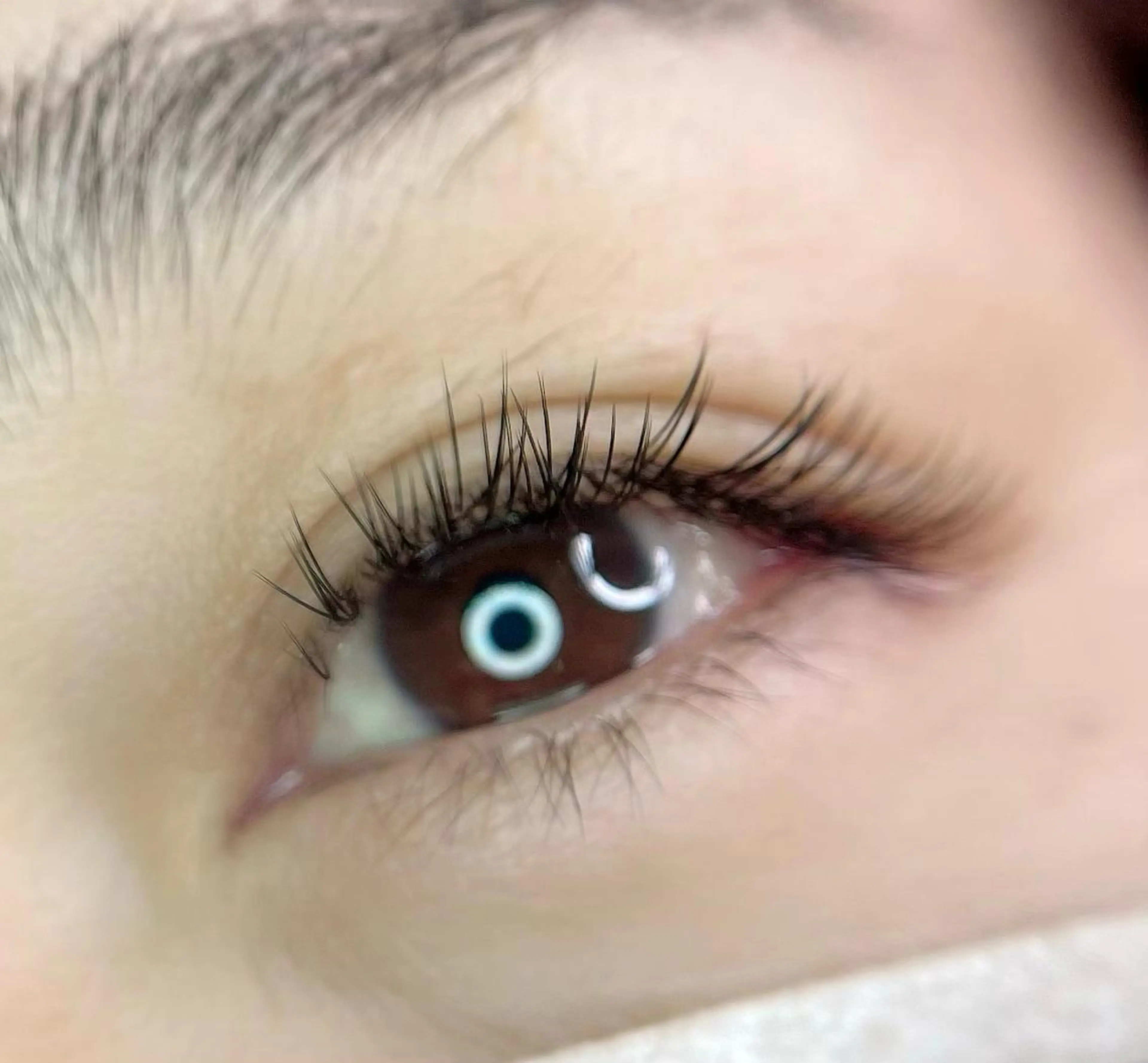 フラットマットラッシュ（MAX）の写真