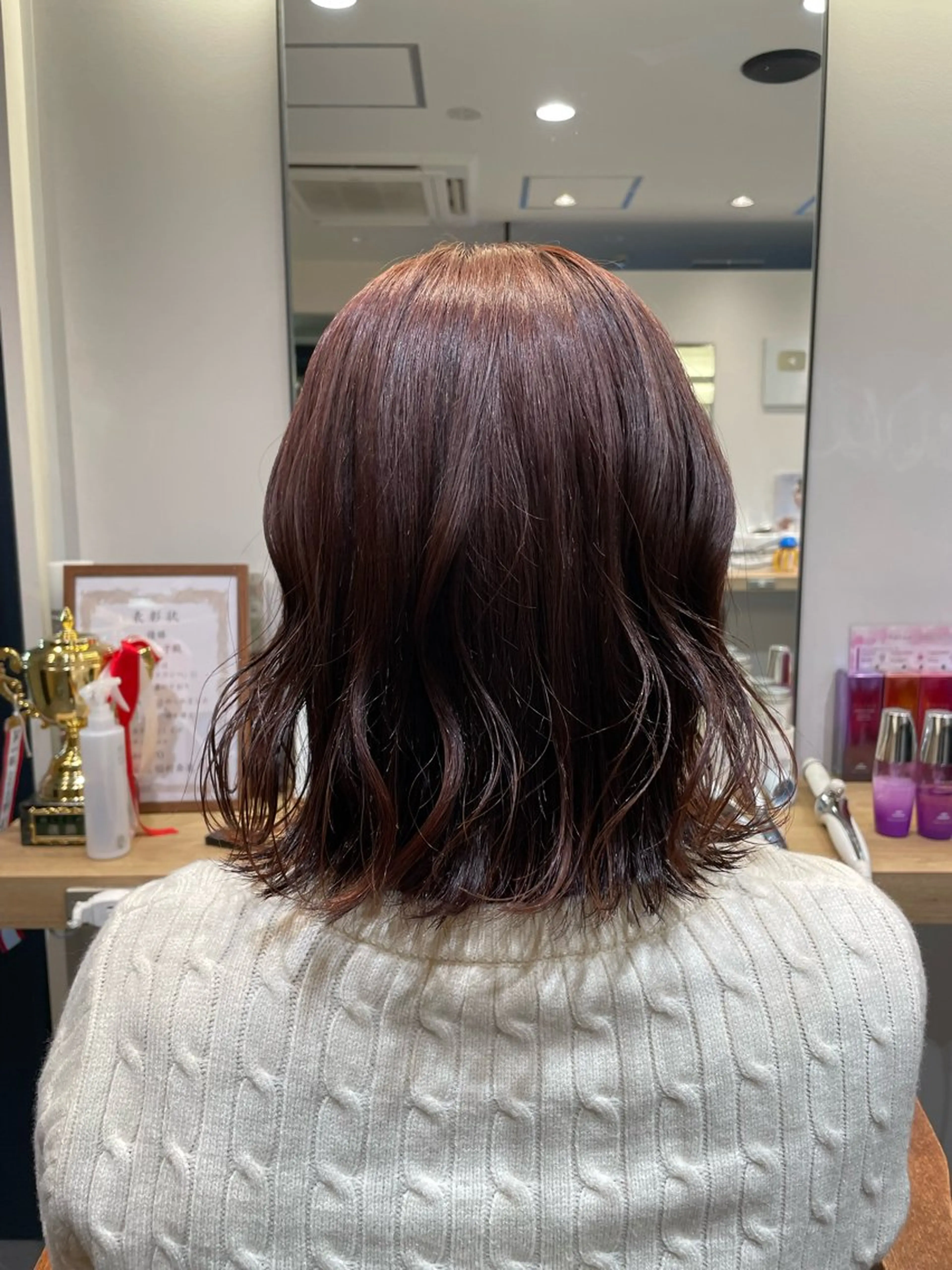 セミロング オオダテ　シノミ ヘッドキュアのヘアスタイル
