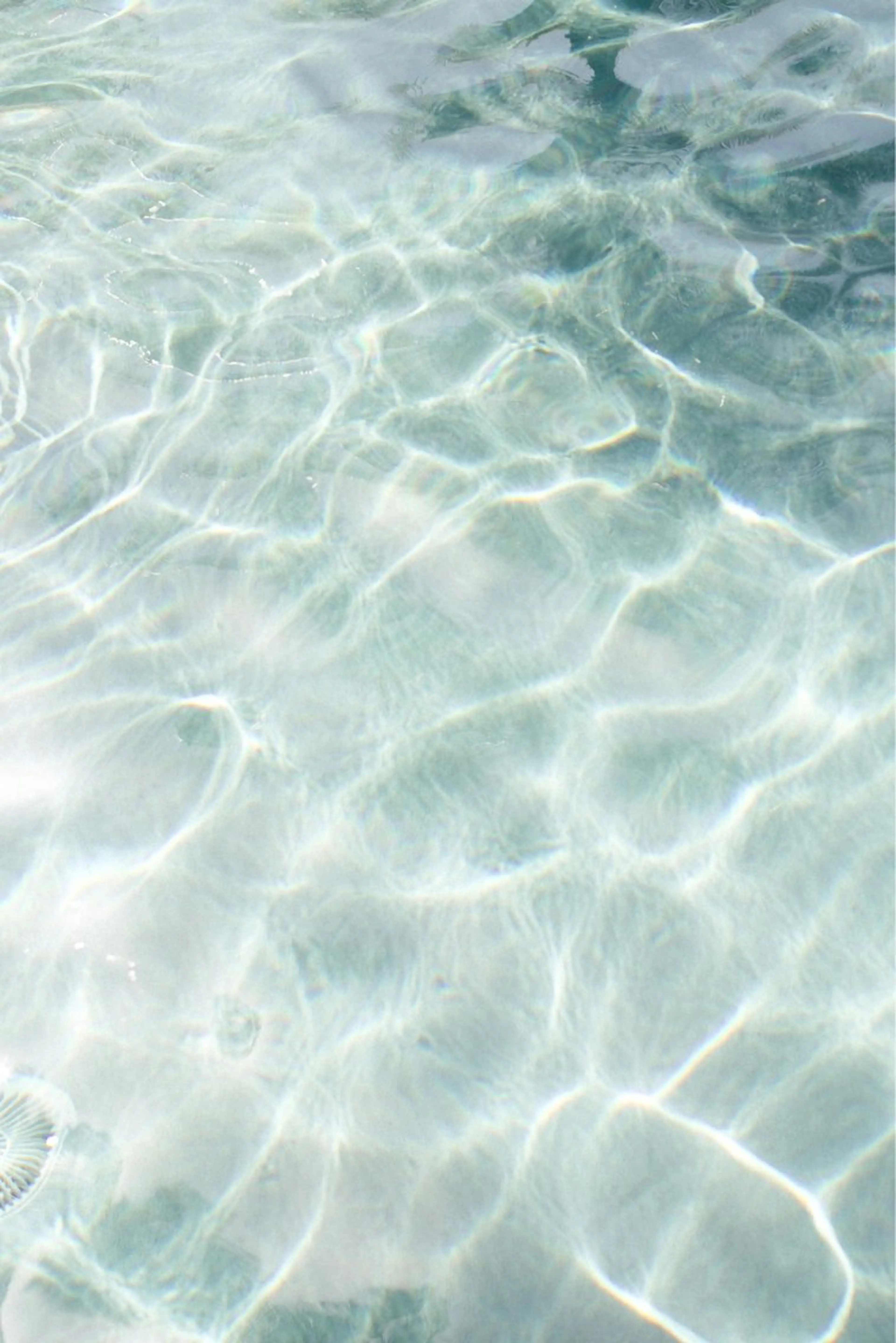 骨格診断 顔タイプ診断 パーソナルカラー診断 骨格/顔🪞Kanaのその他イメージ