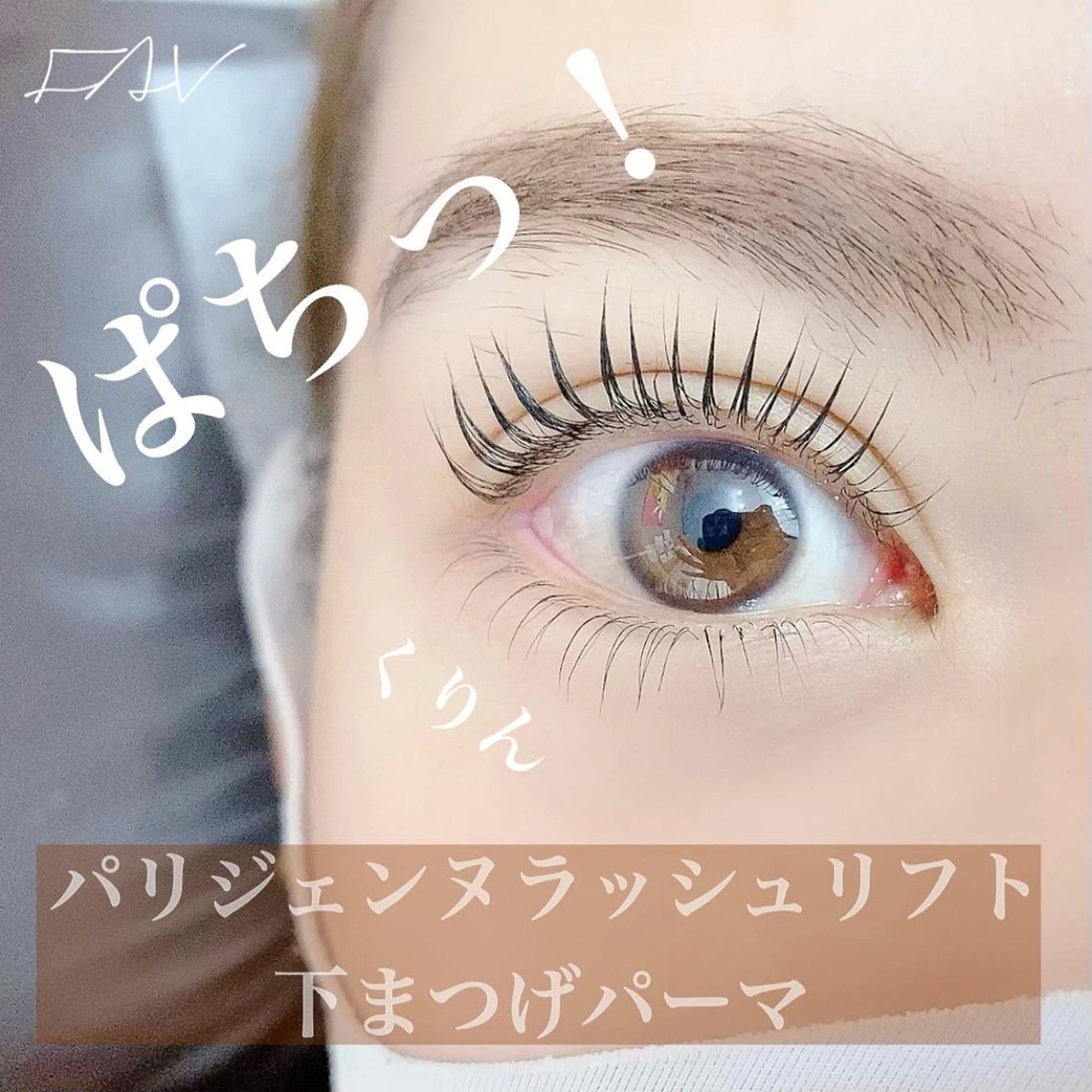 マツエク・マツパ パリジェンヌラッシュリフト EYELASH FAVのマツエク・マツパデザイン