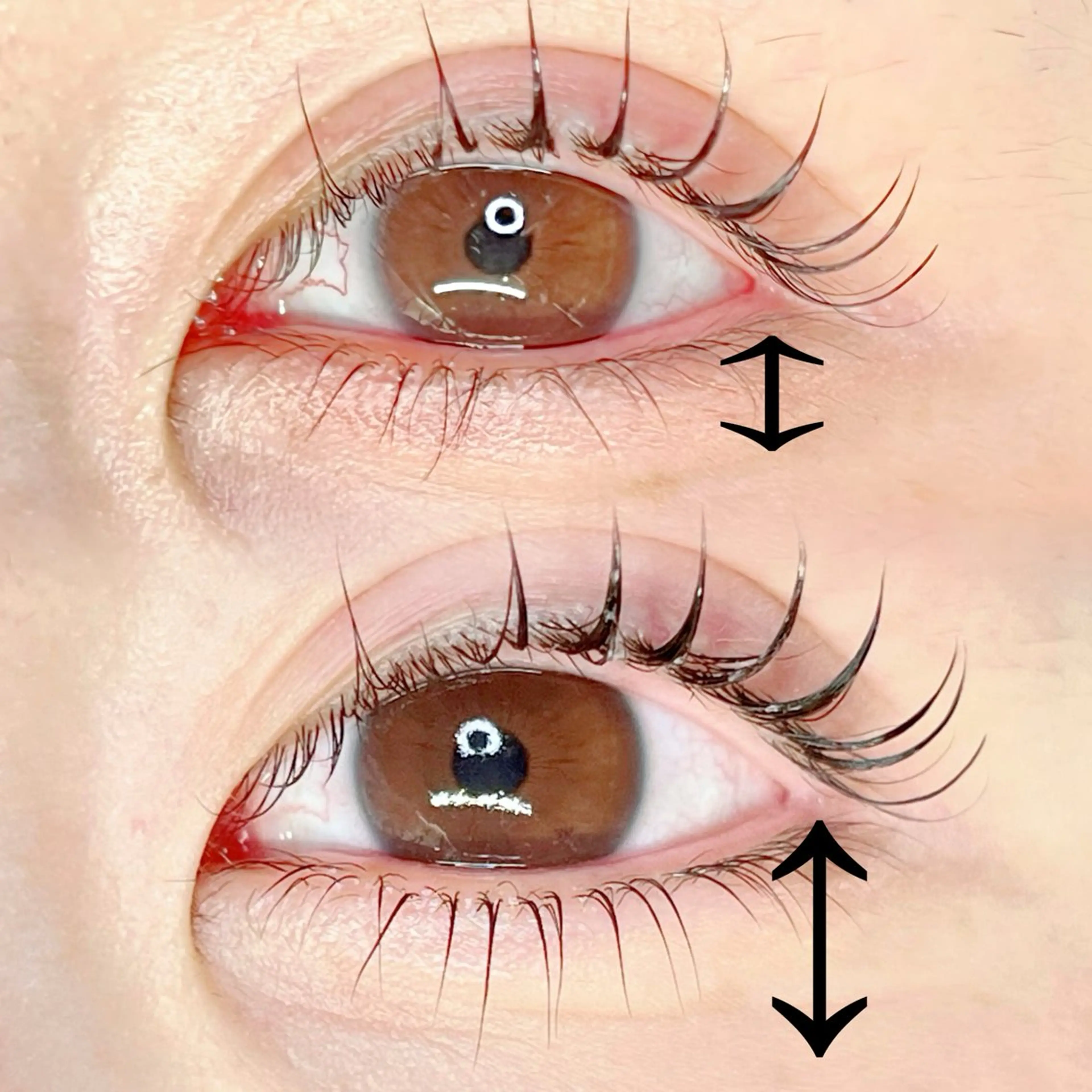 マツエク・マツパ 🌈ALEUM.🌈 アルムのマツエク・マツパデザイン