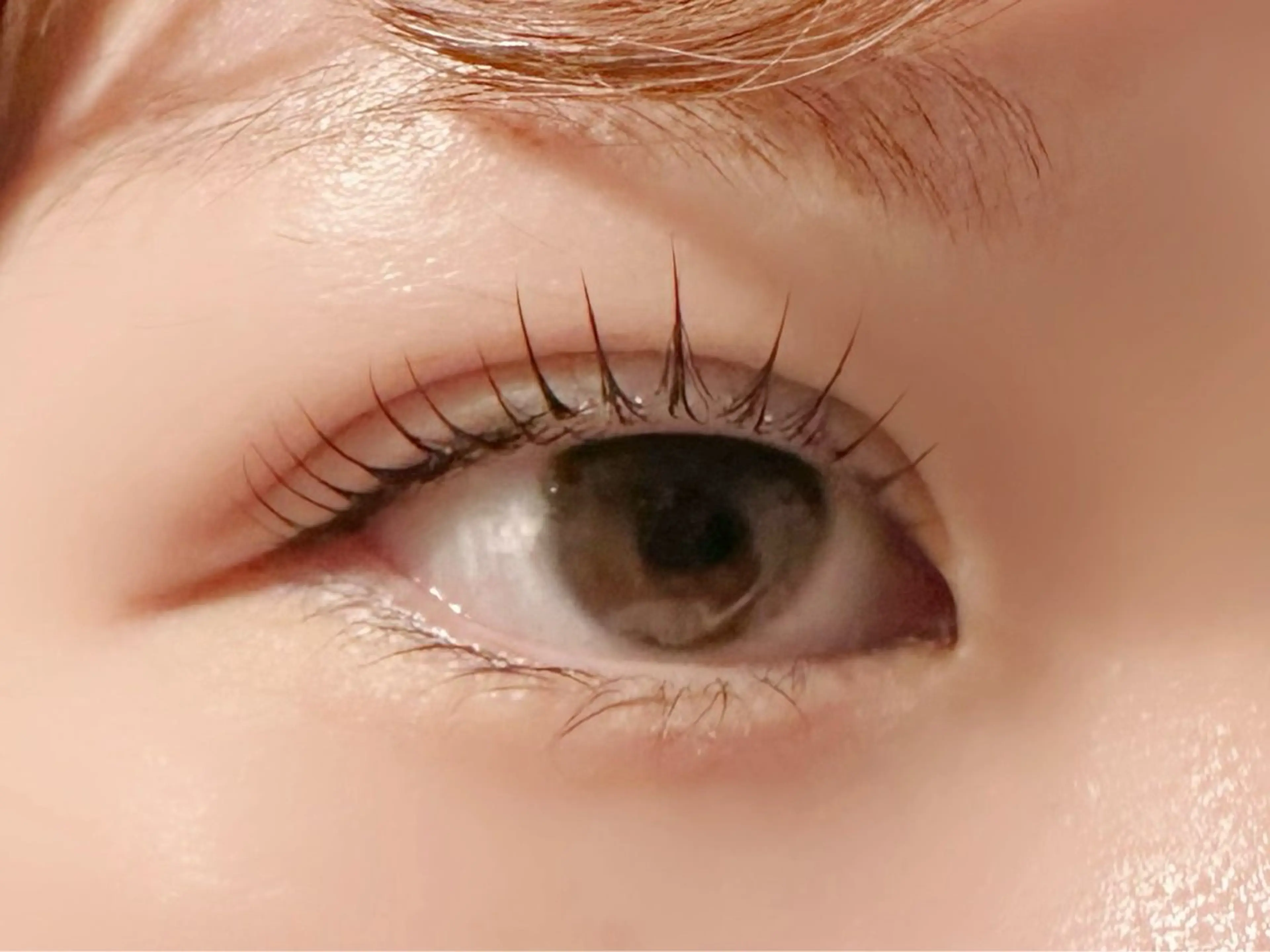 マツエク・マツパ まつげのめぐみ所属・🌹nawa.c 🦋のマツエク・マツパデザイン