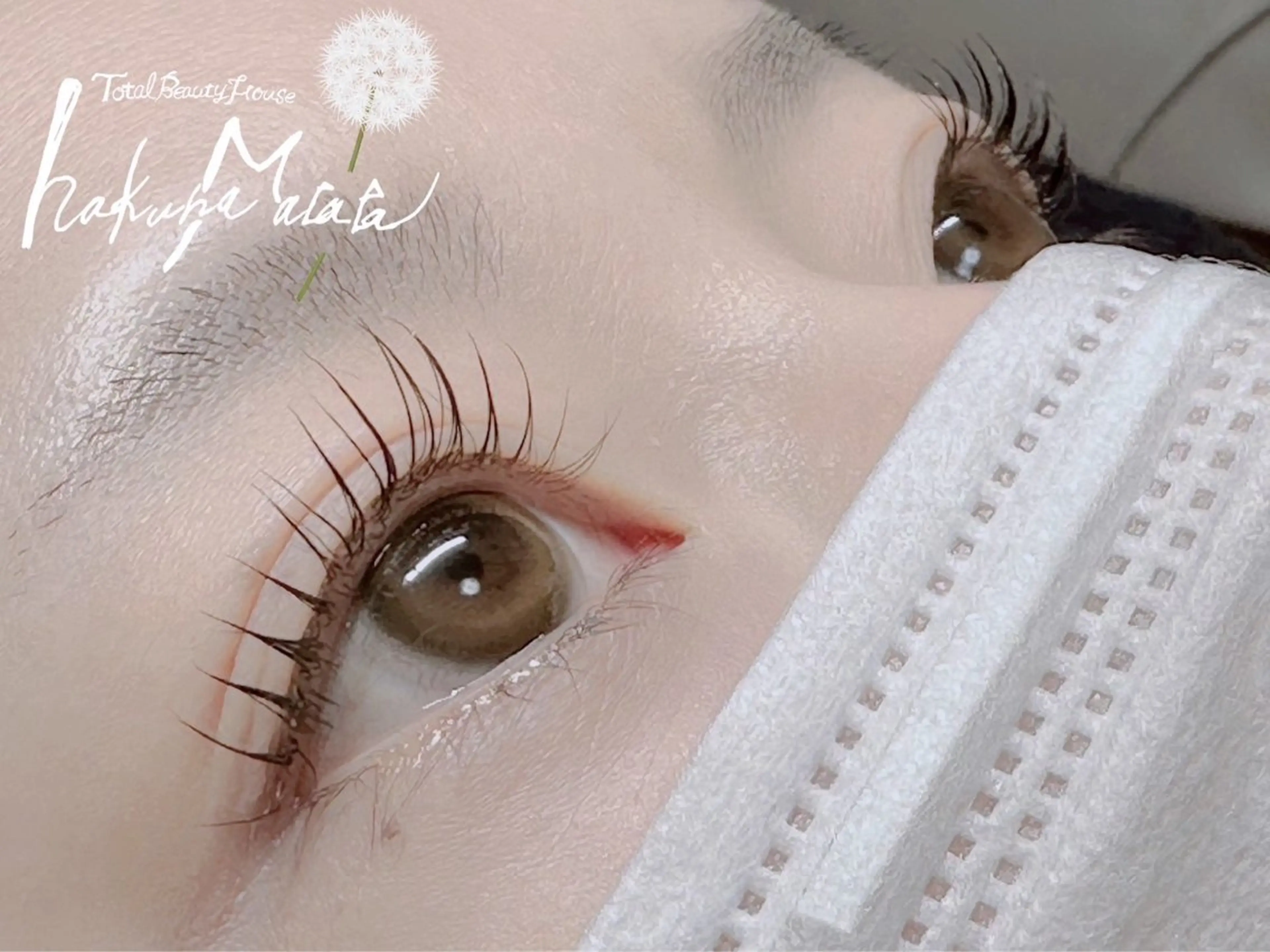 アイラッシュリフトの写真