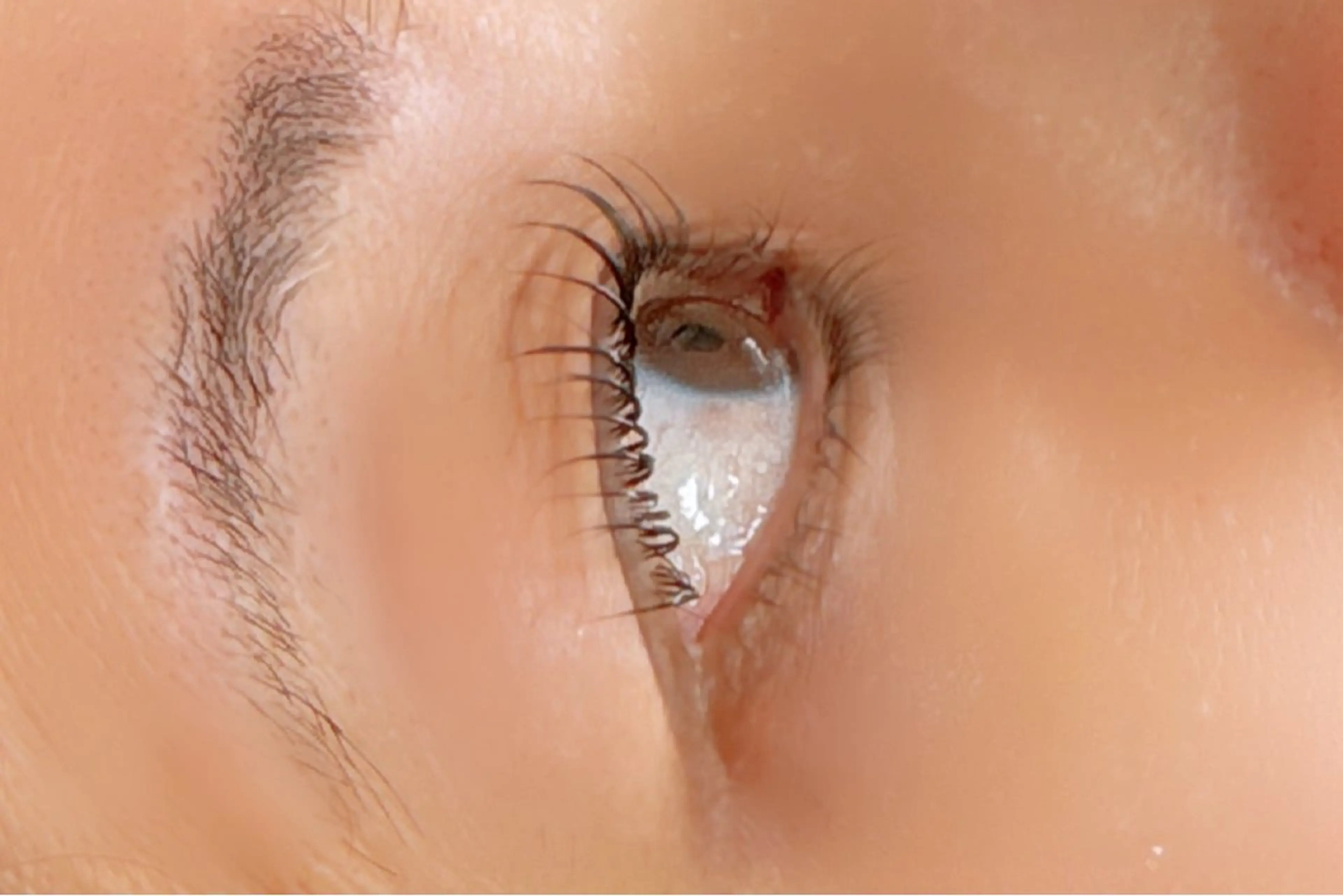 マツエク・マツパ 一重×まつ毛パーマ L e'a ・・miwaのマツエク・マツパデザイン