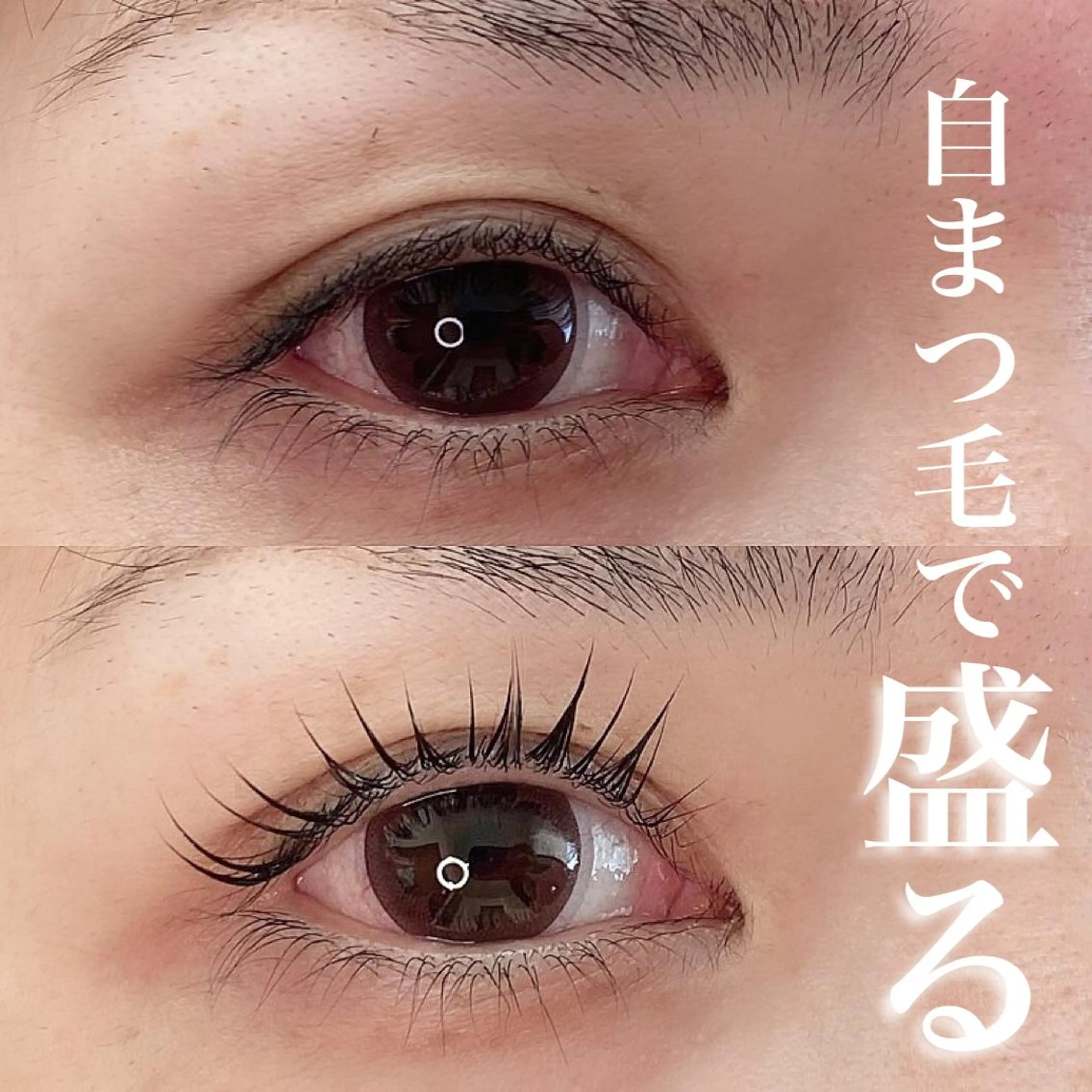 マツエク・マツパ 束感まつ毛 韓国風マツエク まつげパーマ 下まつげエクステ 一重×まつ毛パーマ Tielu. risaのマツエク・マツパデザイン