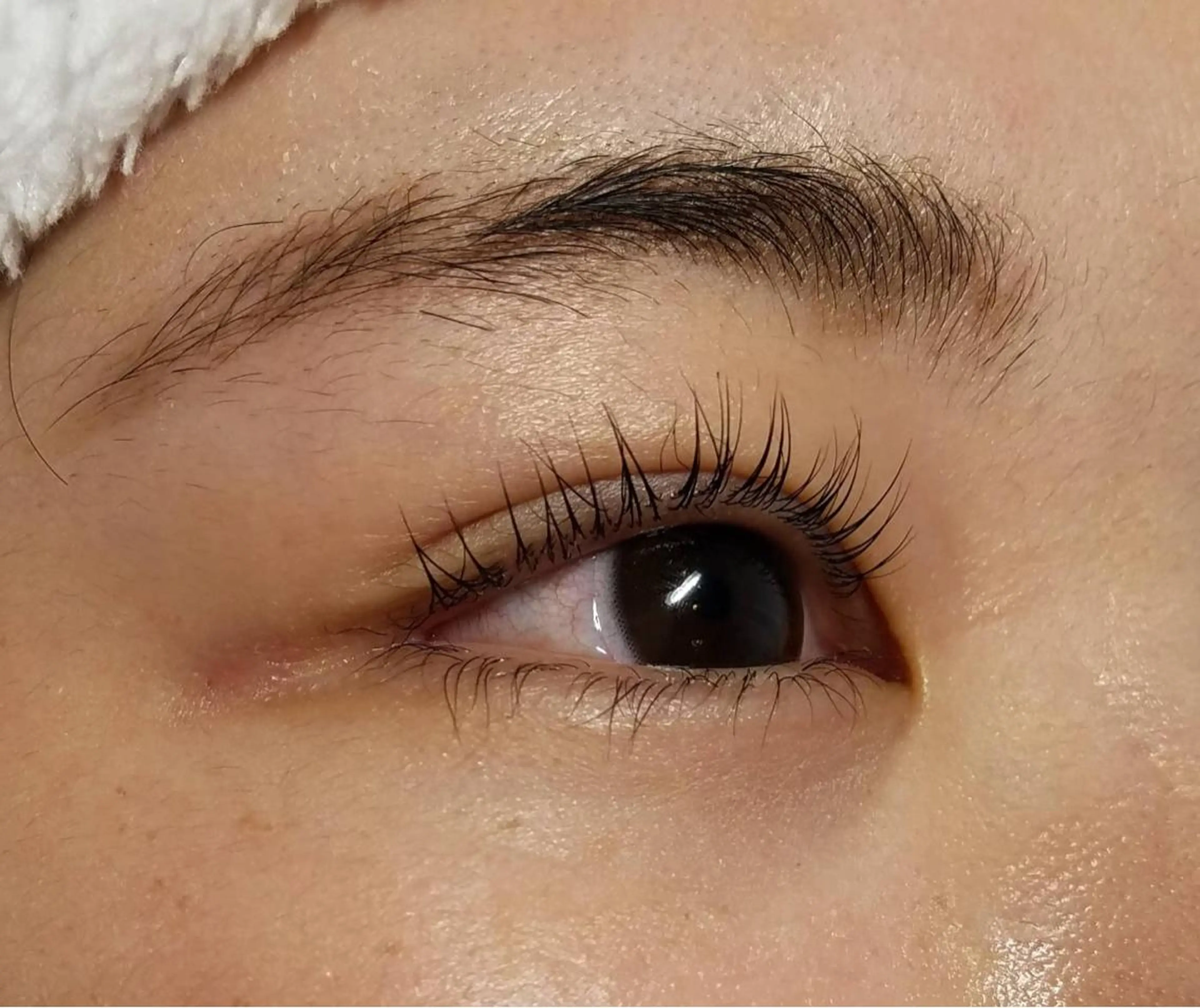 マツエク・マツパ パリジェンヌラッシュリフト Fairytail excellentのマツエク・マツパデザイン