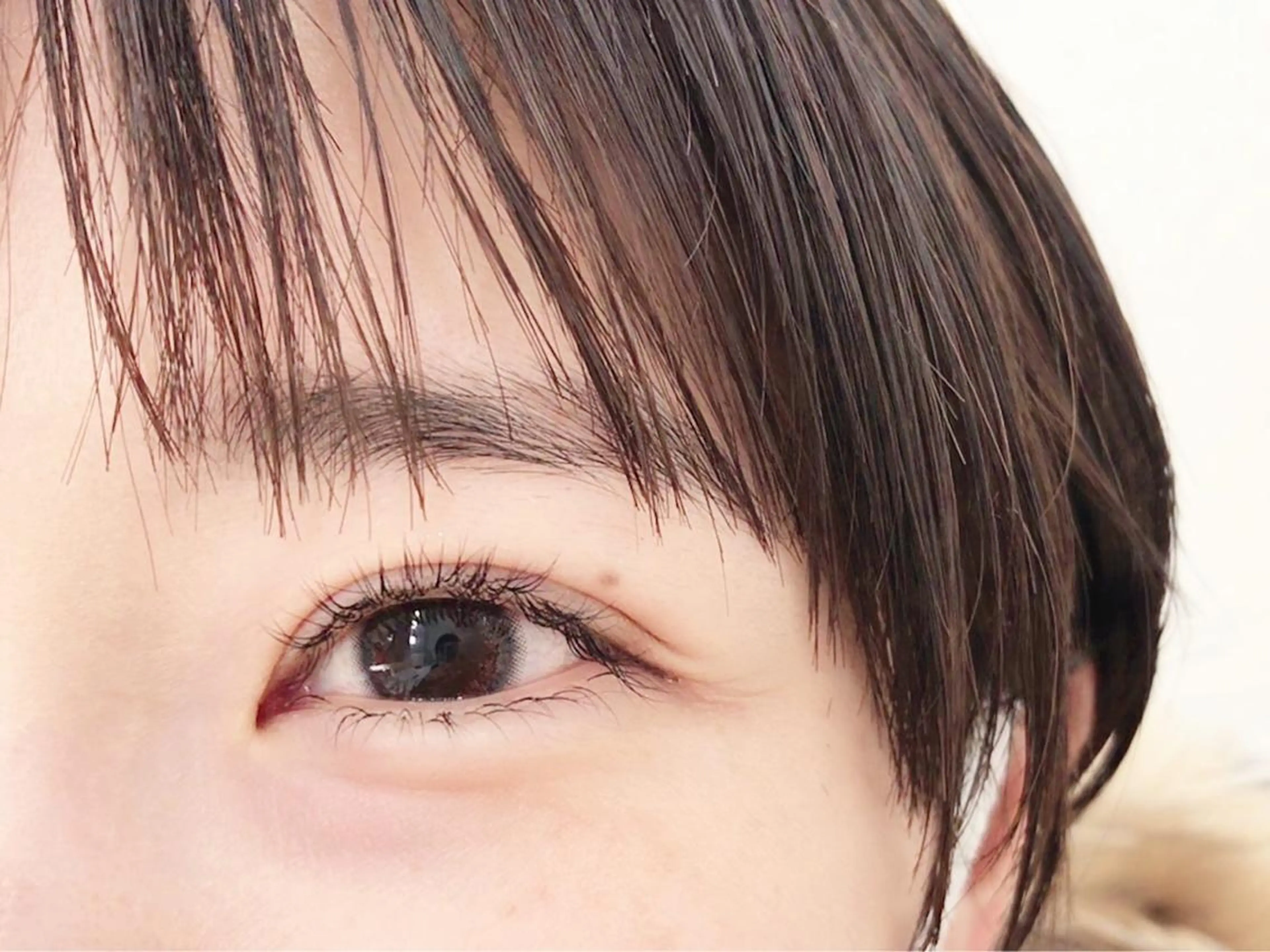 ＊ フラットマットラッシュ / 上120下30本の写真