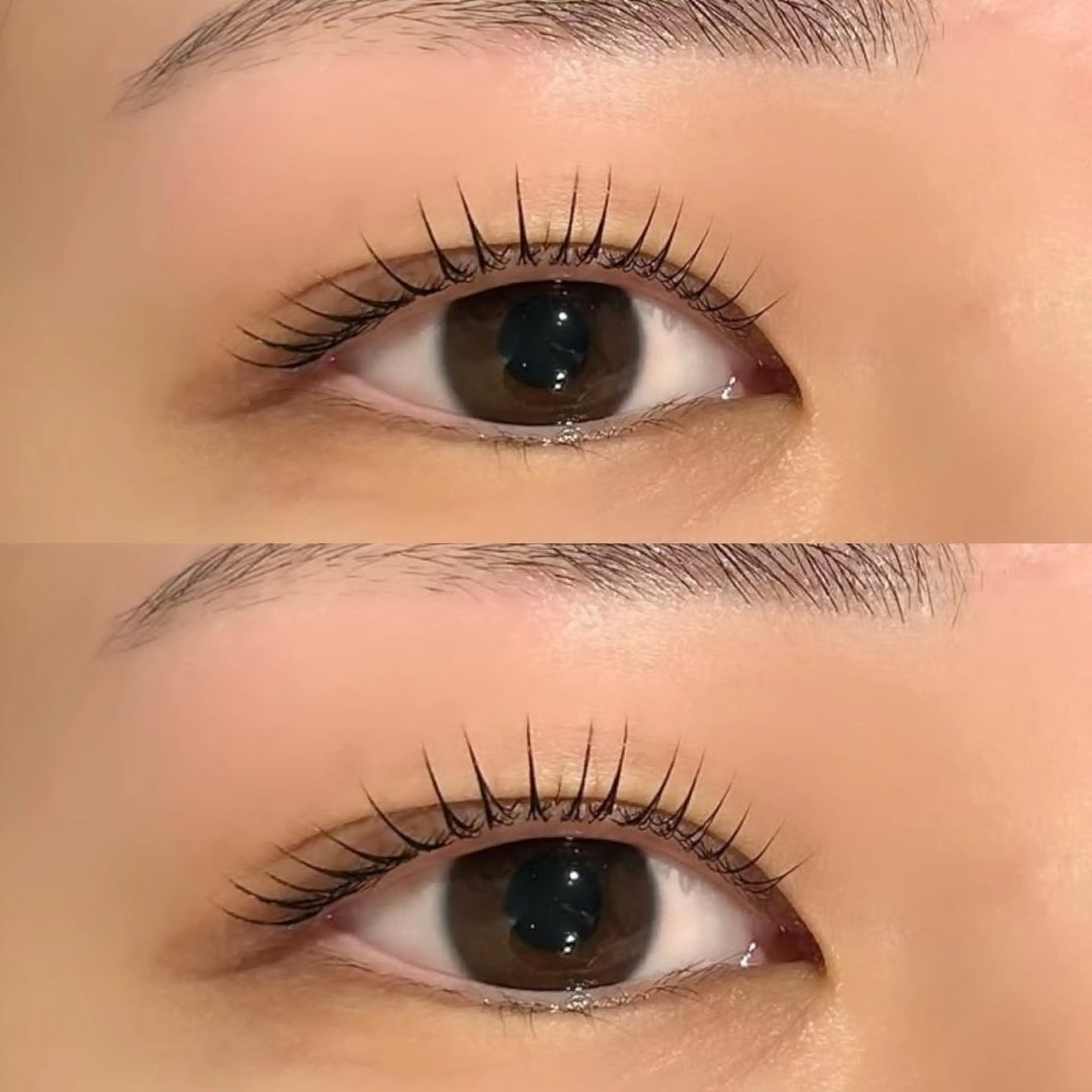 【2回目以降】 🎀まつげパーマ‎orパリジェンヌ 🎀美容液込の写真