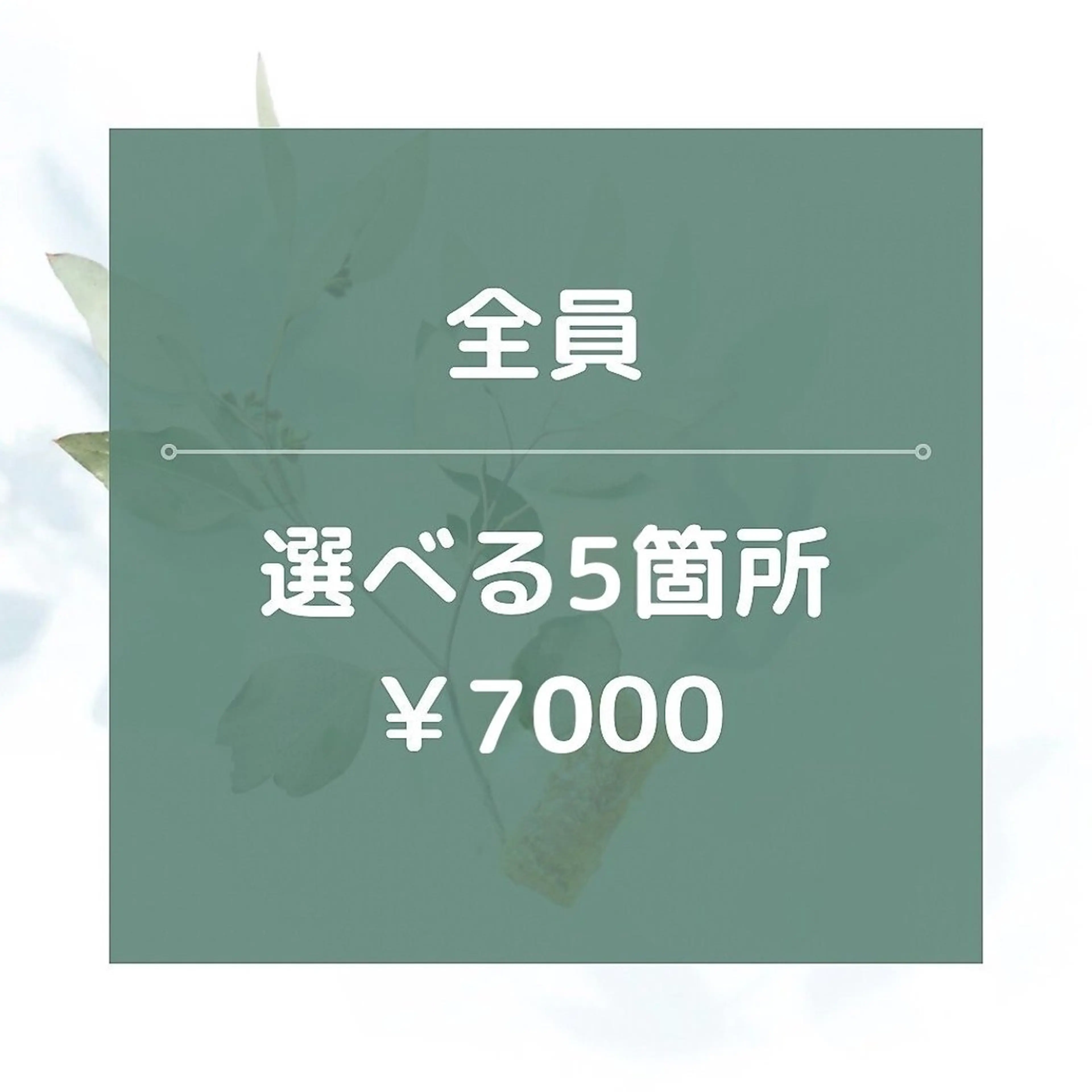 脱毛 都度払い 脱毛 Lino柏/moeのエステ・リラクイメージ