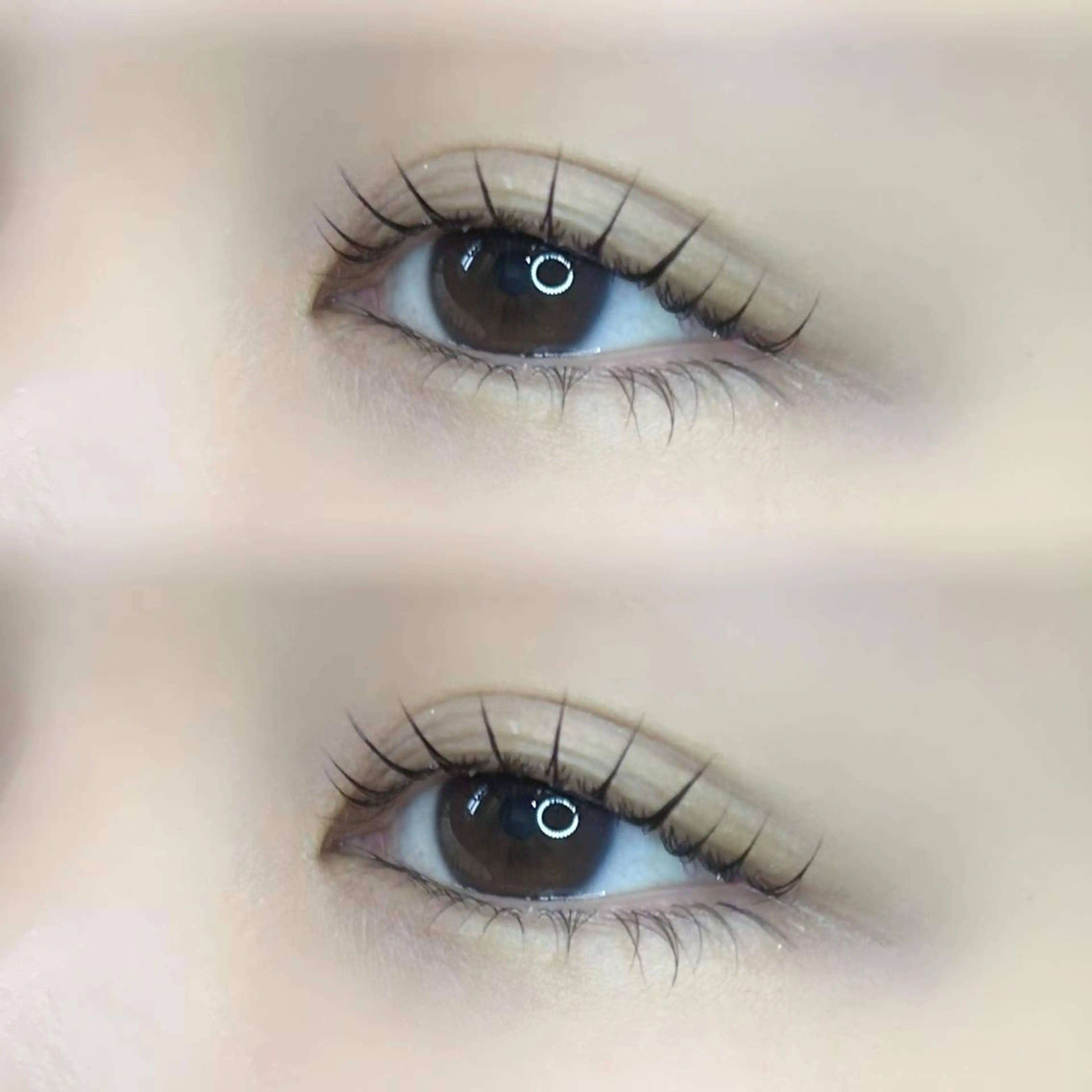 マツエク・マツパ パリジェンヌラッシュリフト 🦢✨fein. 原宿店✨🤍の眉毛・アイブロウイメージ