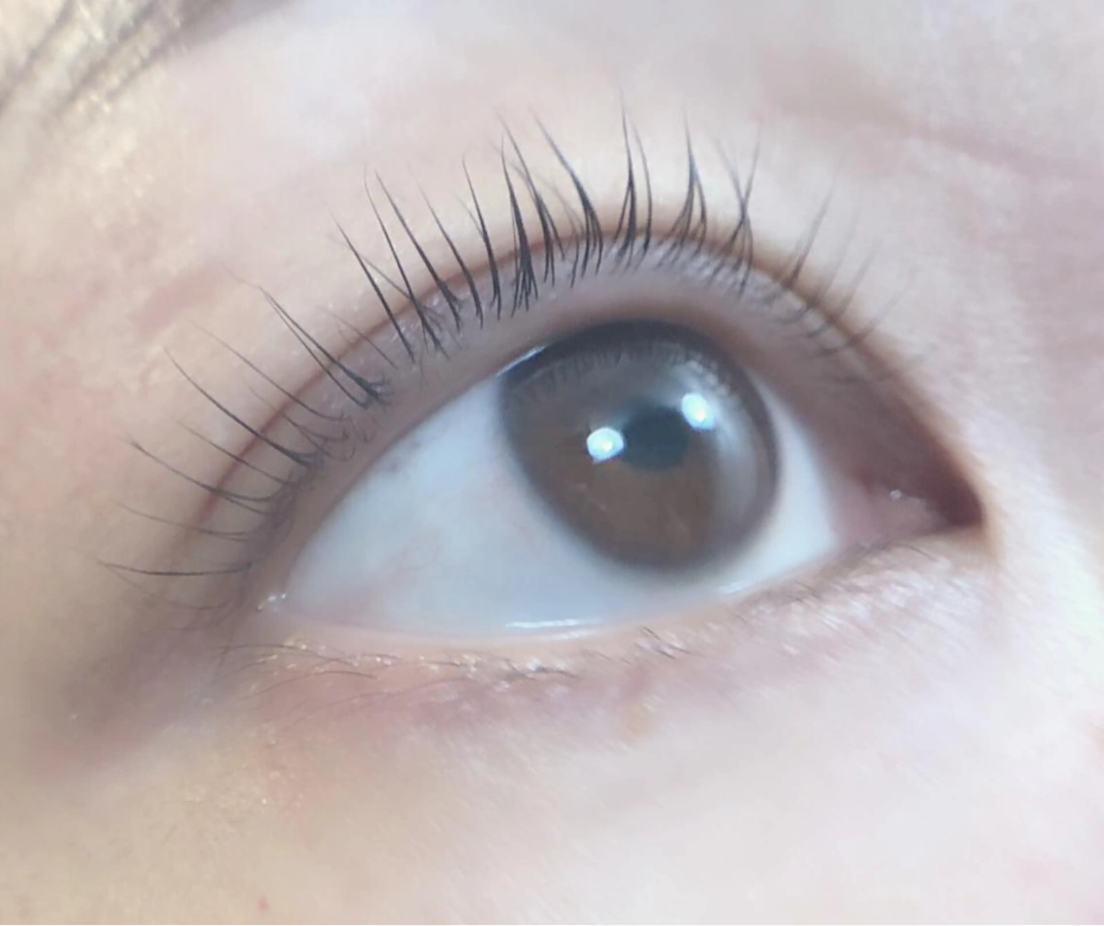 マツエク・マツパ sii. eyelashのマツエク・マツパデザイン