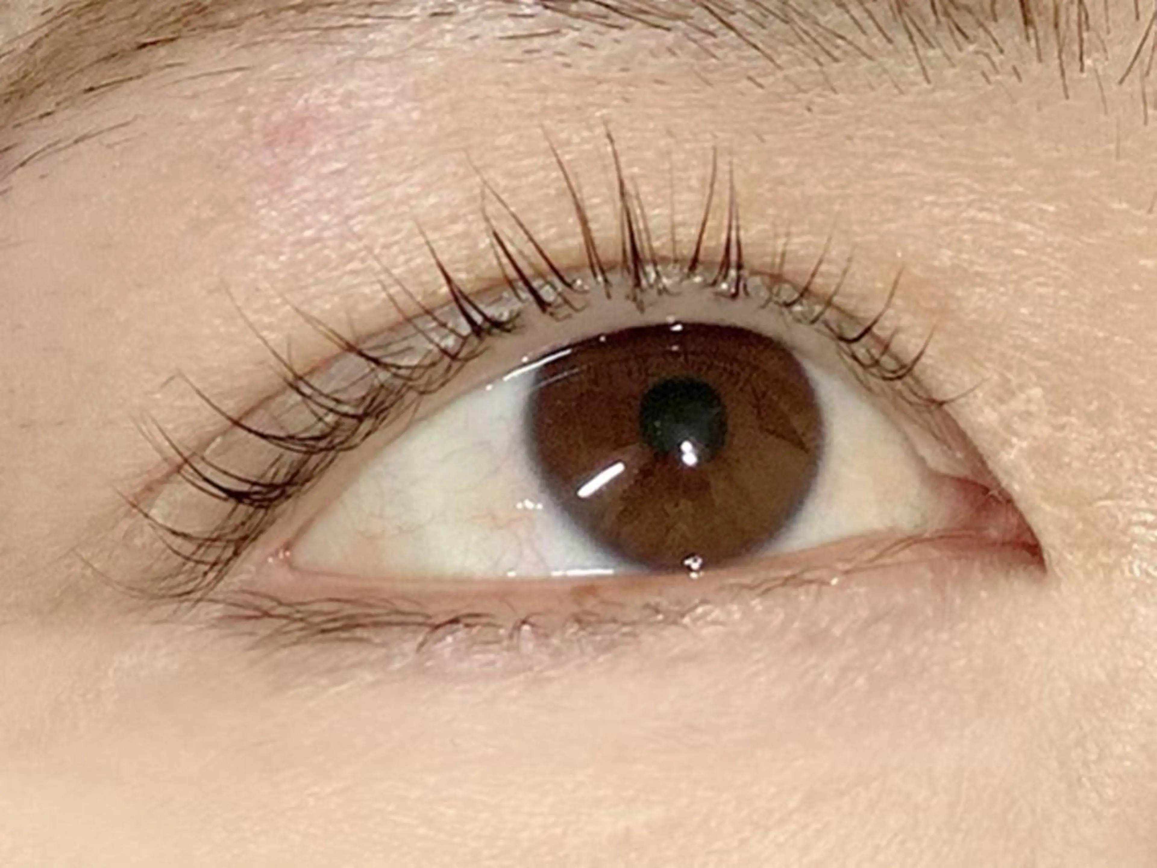 マツエク・マツパ パリジェンヌラッシュリフト Toyoshima Sakikoのマツエク・マツパデザイン